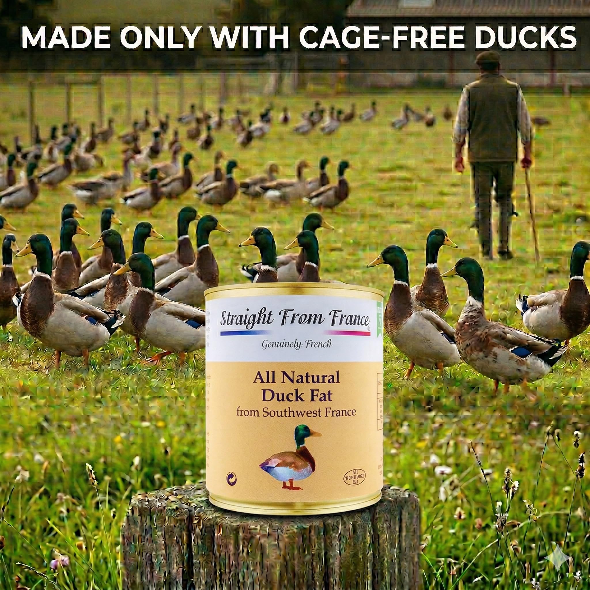 Amazon.com: Straight from France Genuinely French, All Natural