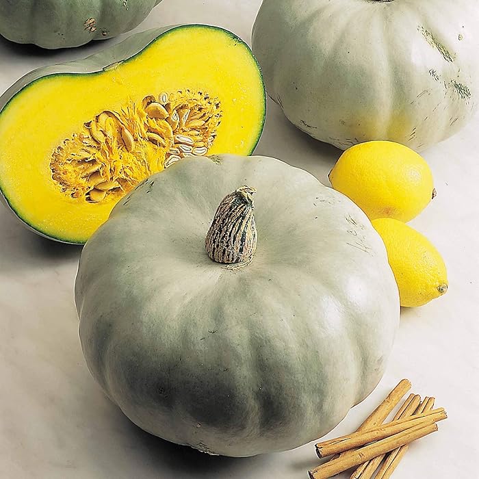 Buy Suttons Squash Seeds F1 Crown Prince, Squash Seeds, Vegetable