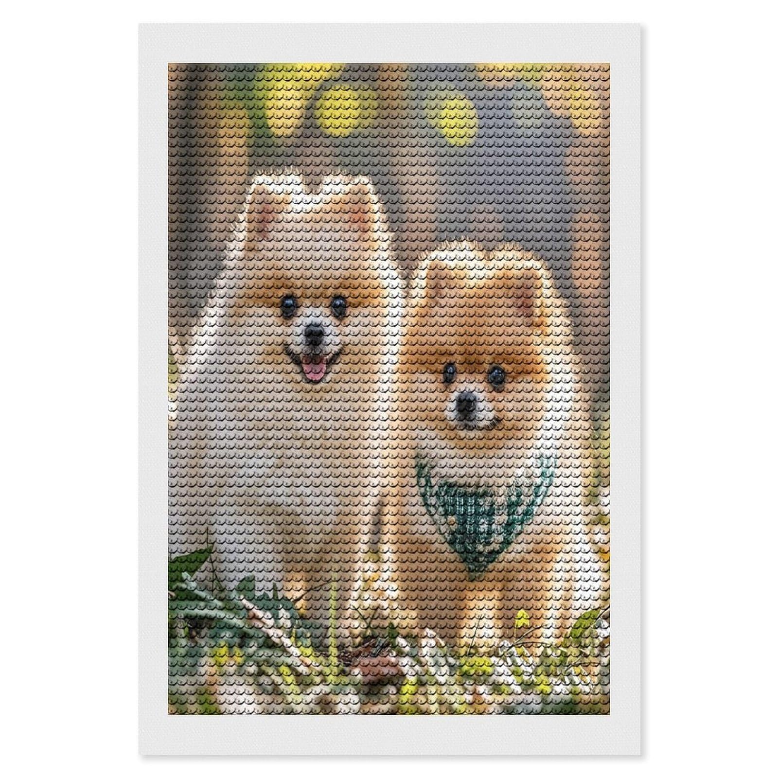 FekiLoot Pomeranians Puppies Diamond Painting Kits for Adults Full Round Drill Diamond Art Kits for Beginners 5D DIY Diamond Dots Paintings Diamonds Pictures Gem Art Home Wall Decor 8"x12"