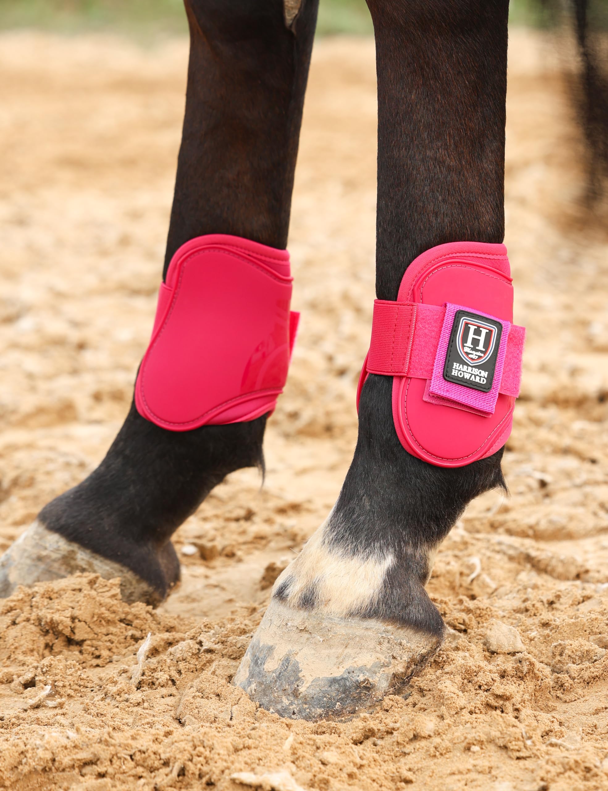 Harrison Howard Botas de tendón de caballo con parte delantera abierta, botas protectoras para caballos para saltar, montar en senderos, juego de 4