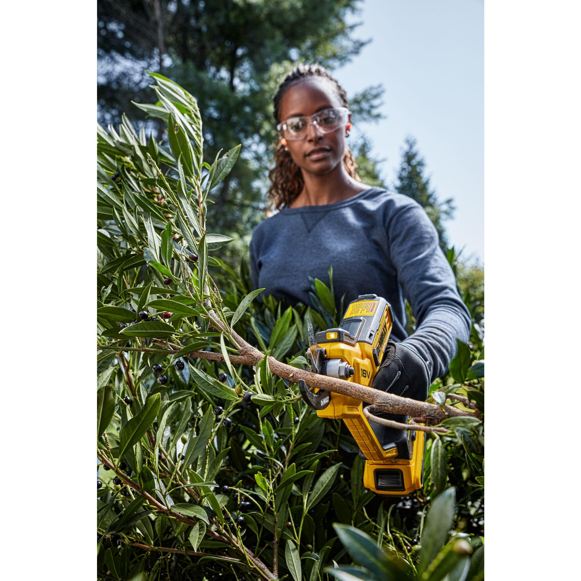 Amazon | デウォルト(DEWALT) 18V 剪定バサミ DCMPP568P1 | 園芸用はさみ