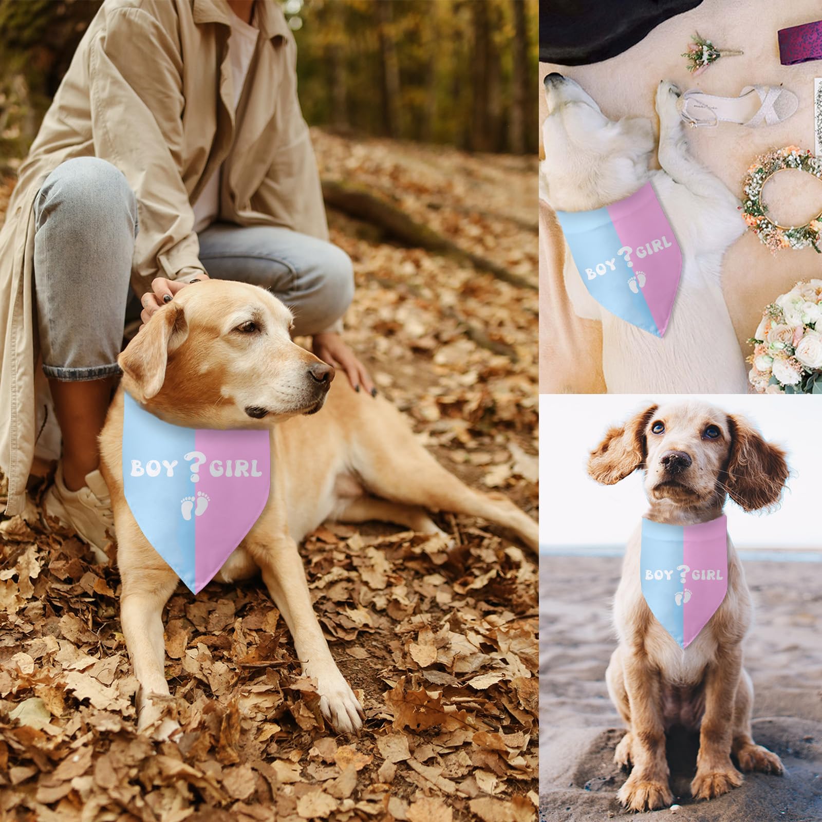 Gift Ideas Best Gifts For Dog Parents Dog Lovers Presents For Pet