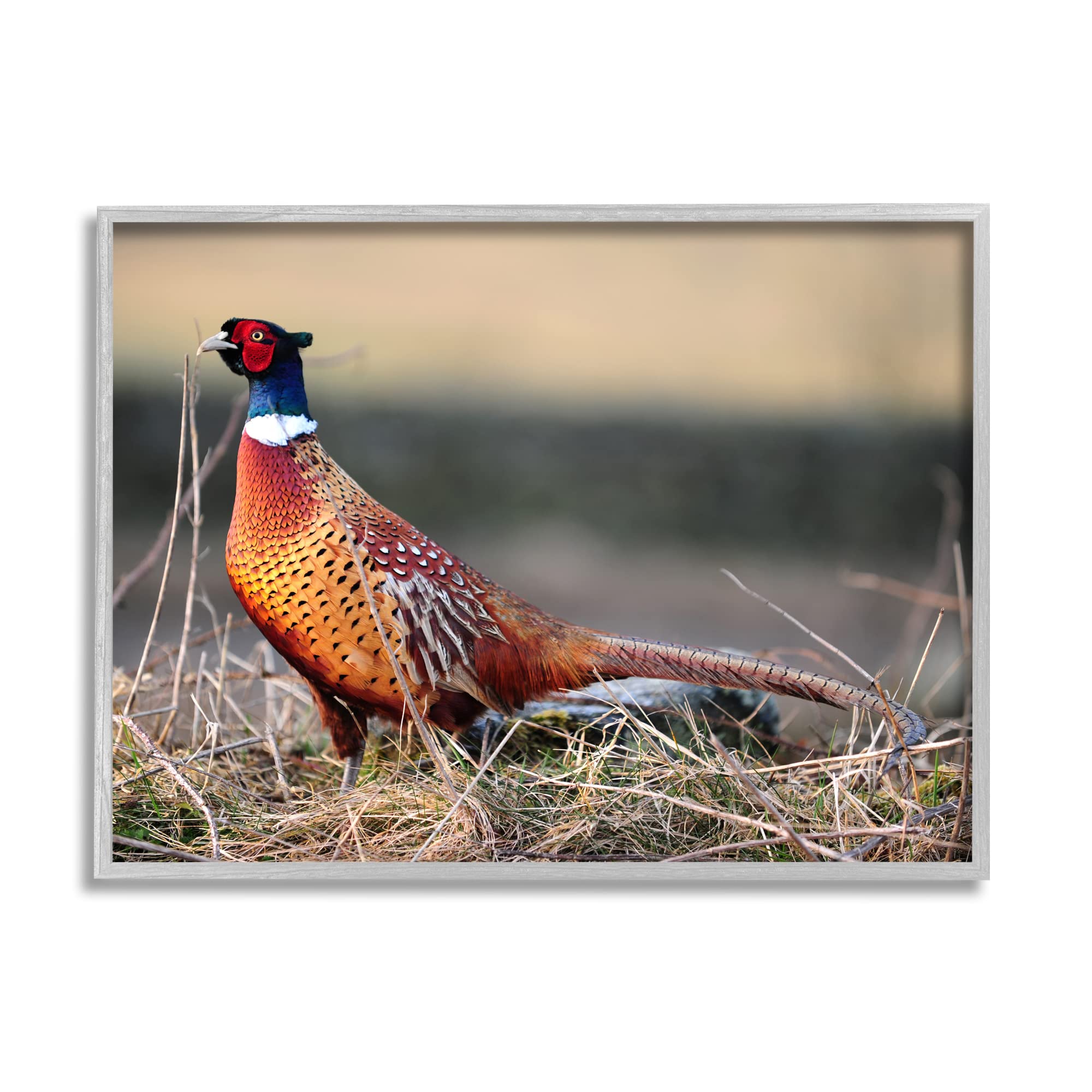 絵画　鳥　キジ　木枠 絵画 鳥 キジ 木枠 絵画 鳥 キジ 木枠 it-5e17fafa1b712-1200.jpg