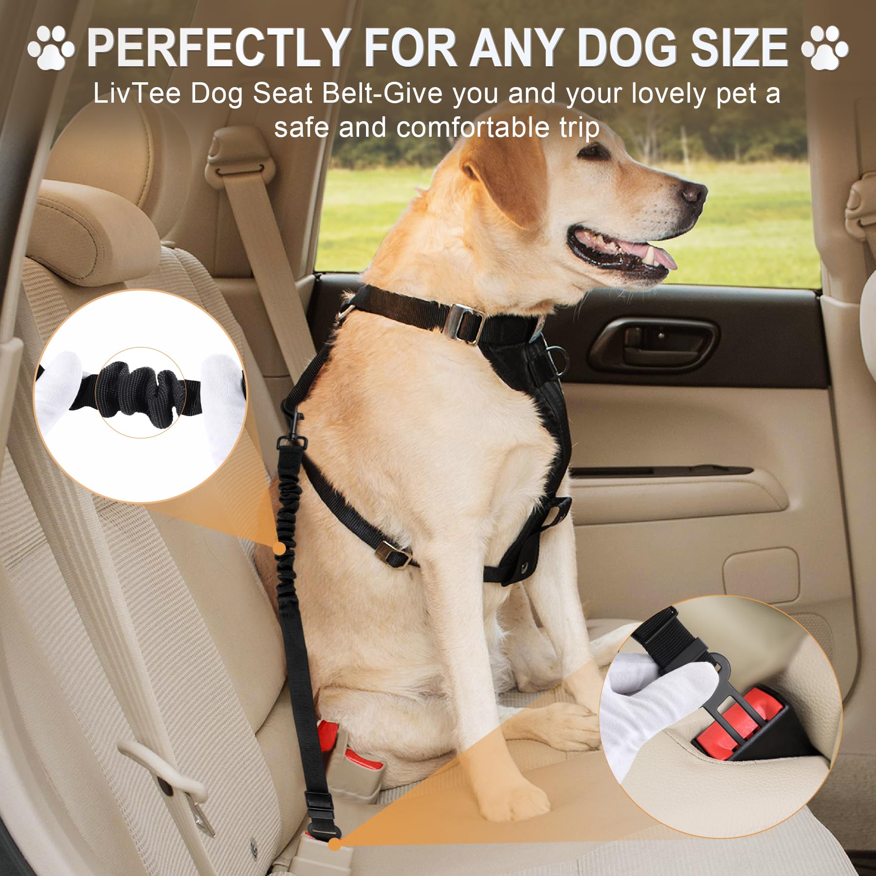 LivTee Hundesicherheitsgurt für Auto, 2 Packungen, einziehbares Hundegeschirr, verstellbar und bequem, Auto-Sicherheitsgurt-Leine, elastisches Nylon, Haustier-Sicherheitsgurte für Fahrzeuge,