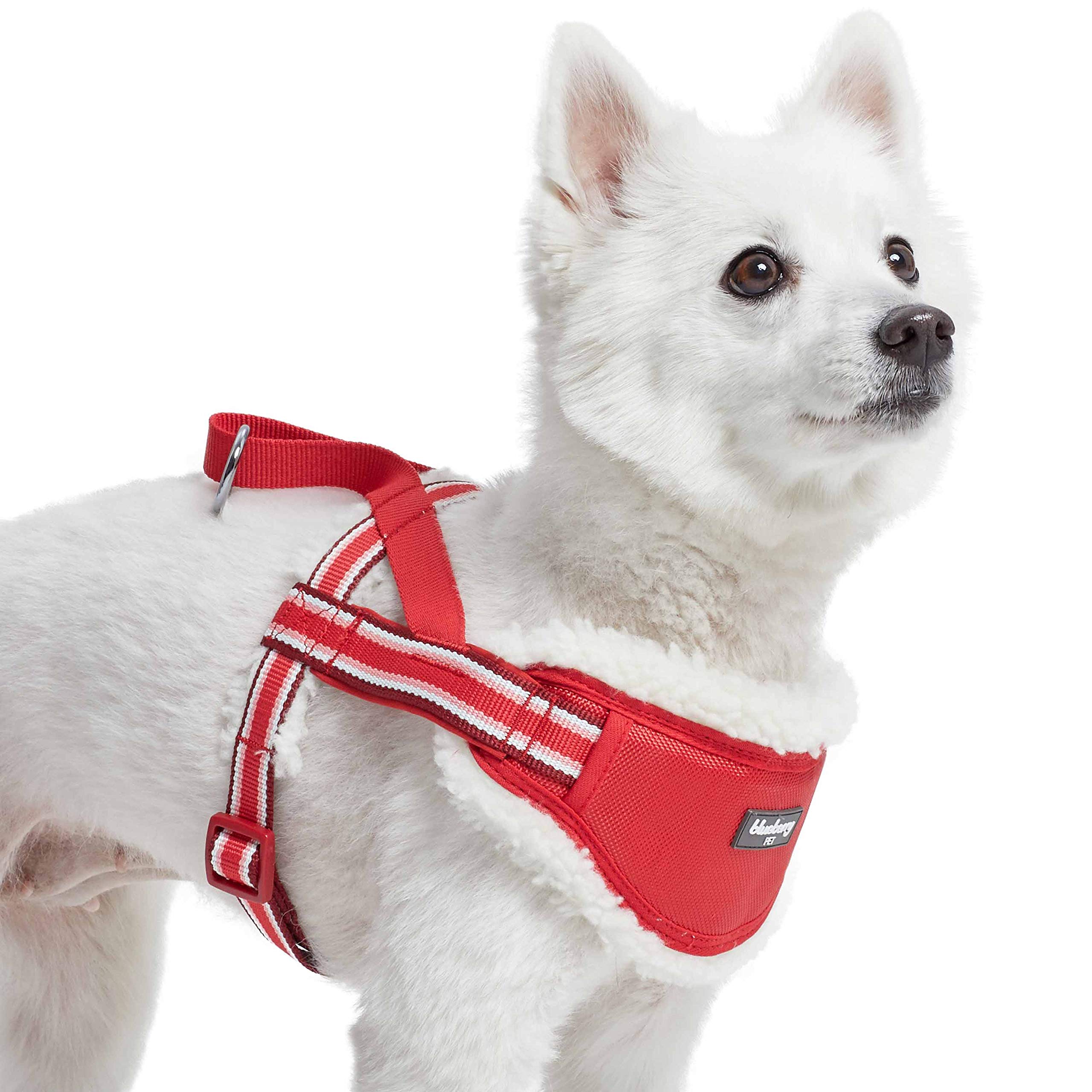 Harnais rembourré pour chien idéal pour les balades