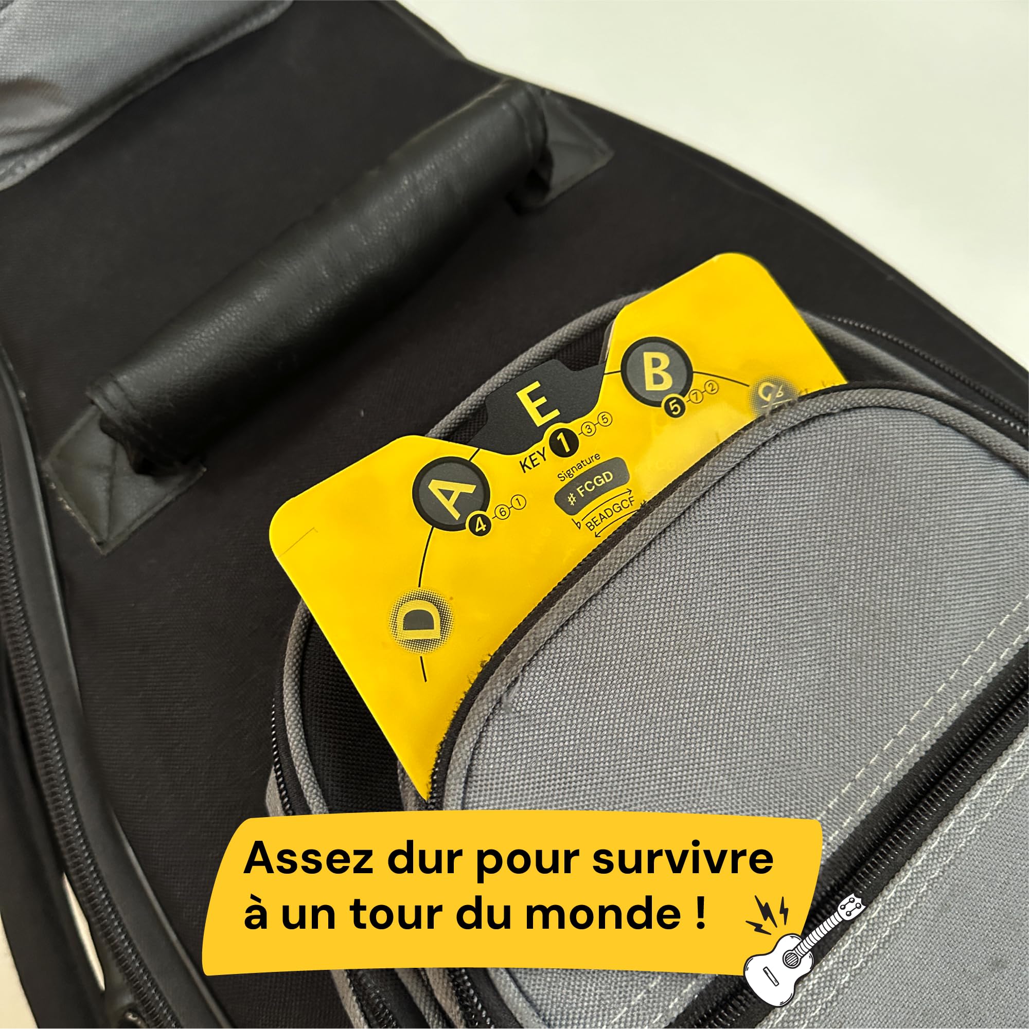 Noisy Clan – Cercle des Quintes + Livre Théorie Musicale en Français – Roue d’Accords Pro avec Support – Apprentissage Guitare, Harmonie, Progressions – Outil Musique Débutant