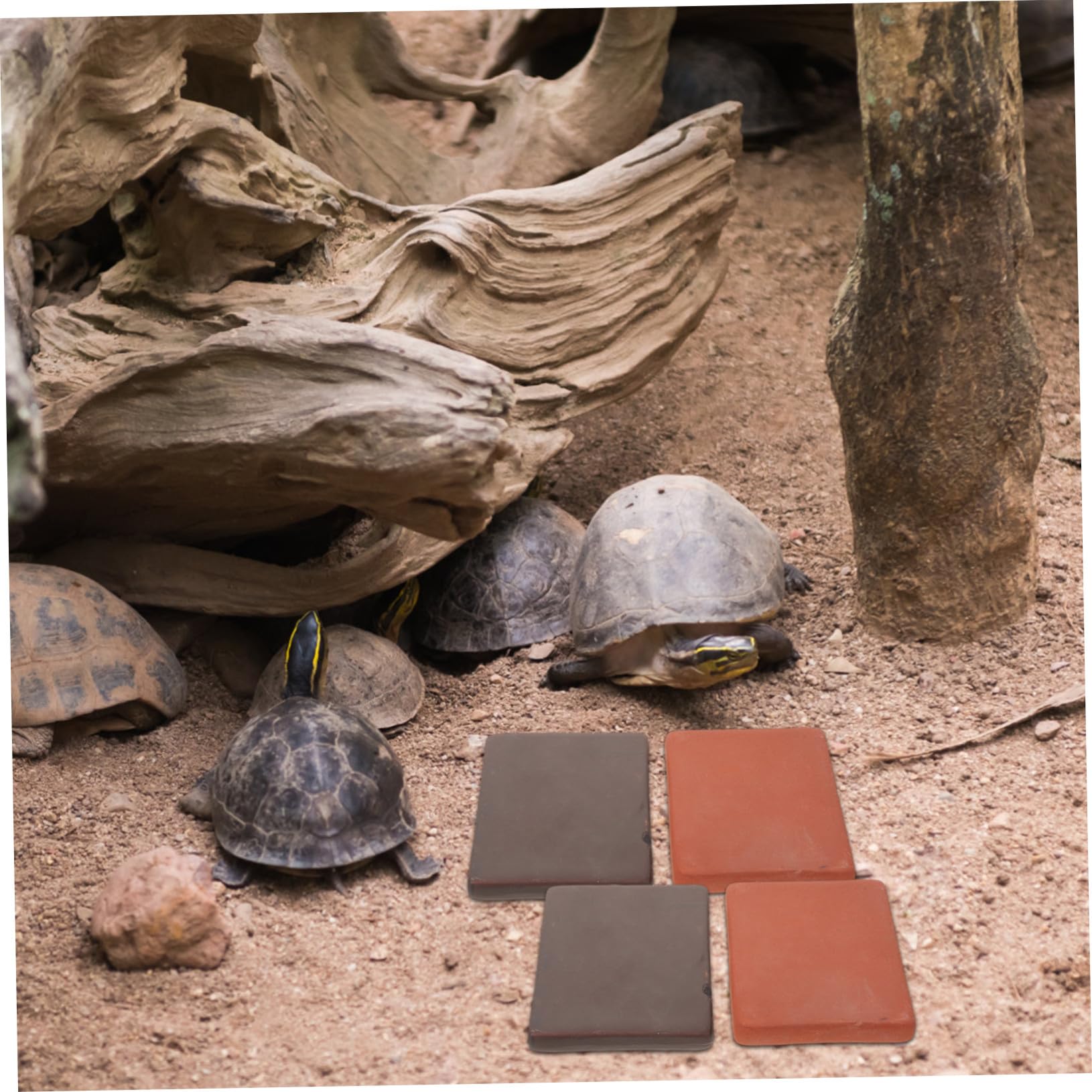 Lot de 6 Pièces, Bloc Céramique pour Tortues, Décor | Terre Cuite Artisanale, pour Bassin Aquatique et Terrarium Semi-aquatique, Format 3, 14x2, 36 Pouces