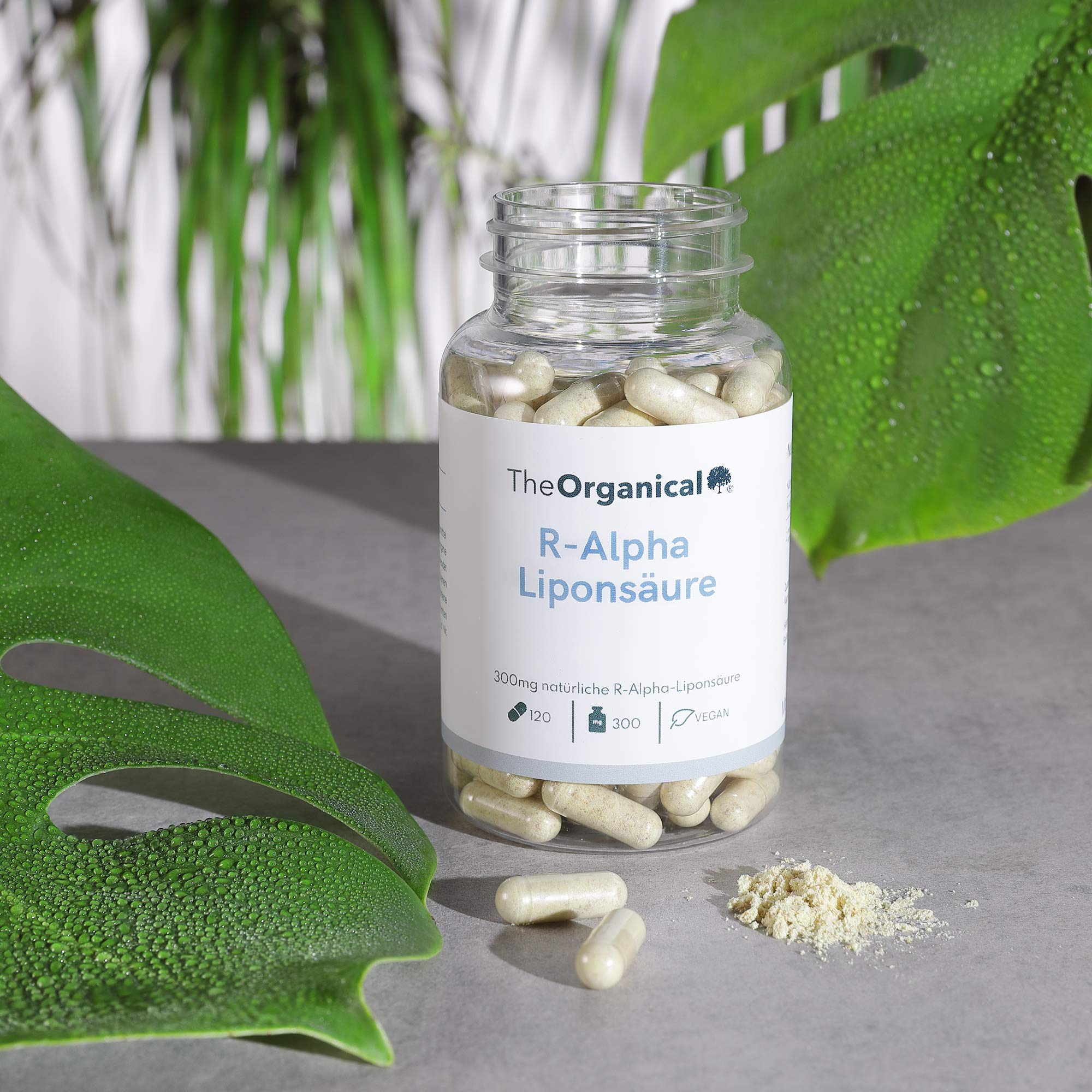 R-Alpha Liponsäure | 300 mg pro Kapsel | 120 Kapseln | natürlicher R Alpha Liponsäure | Hergestellt in Hamburg | Volle Wirkung |