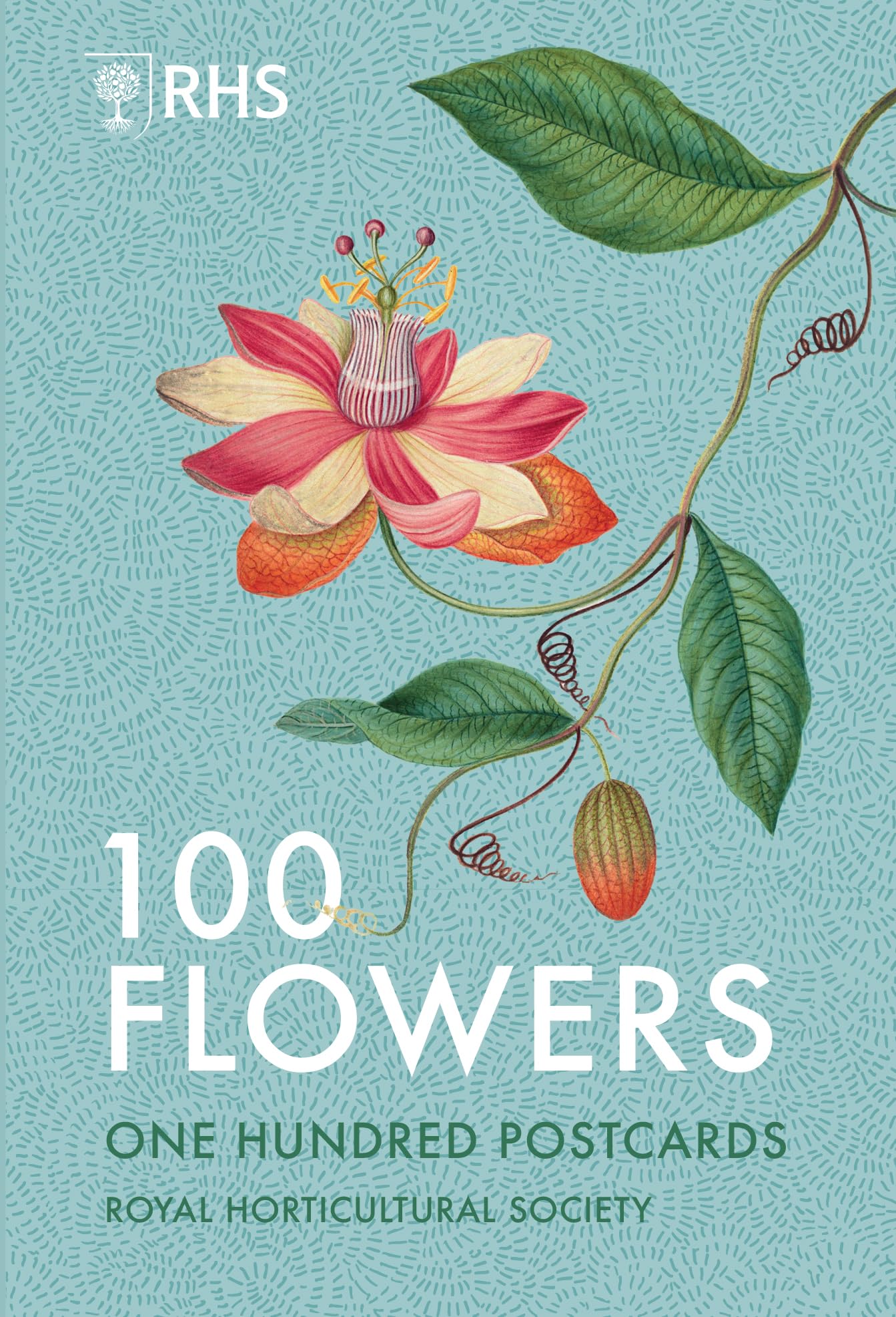 100 Flowers by Royal Horticultural Society 9781805701156