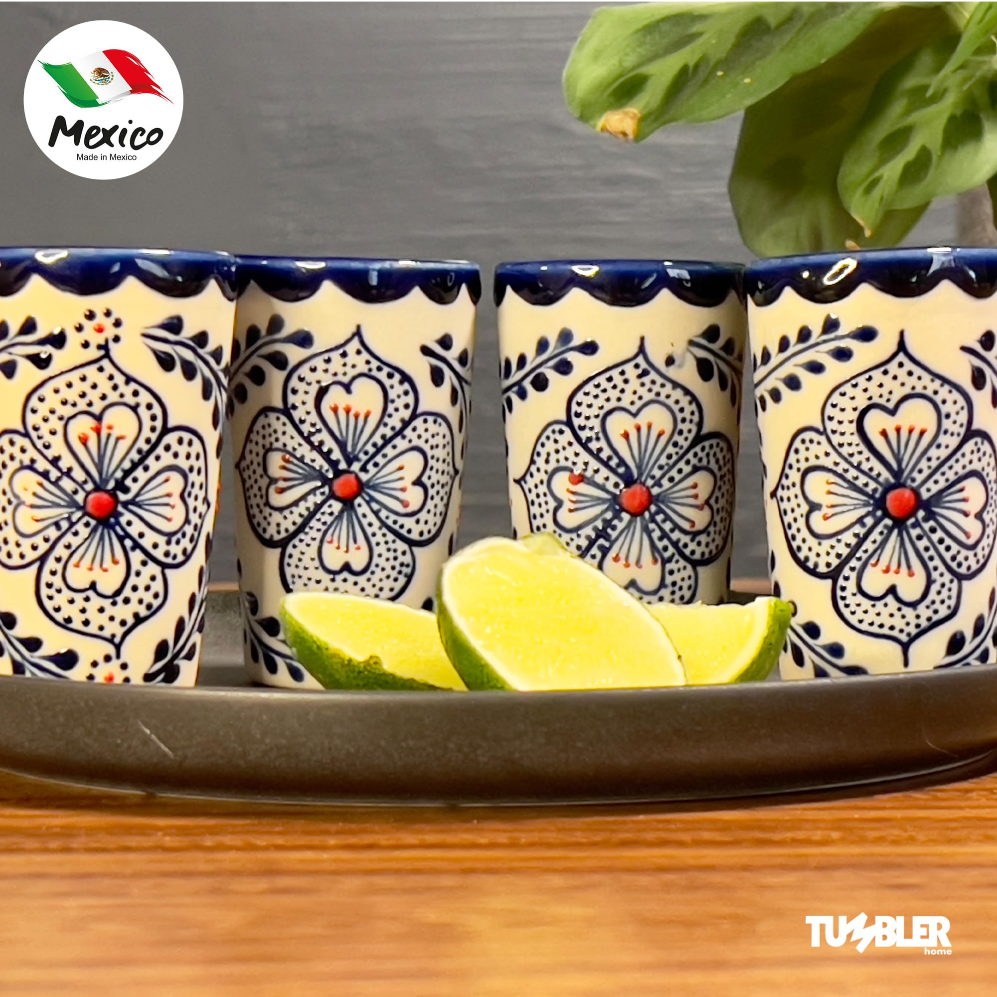 MEZCASA Lot De 4 Verres à Shot à Tequila Inspirés Du Cône