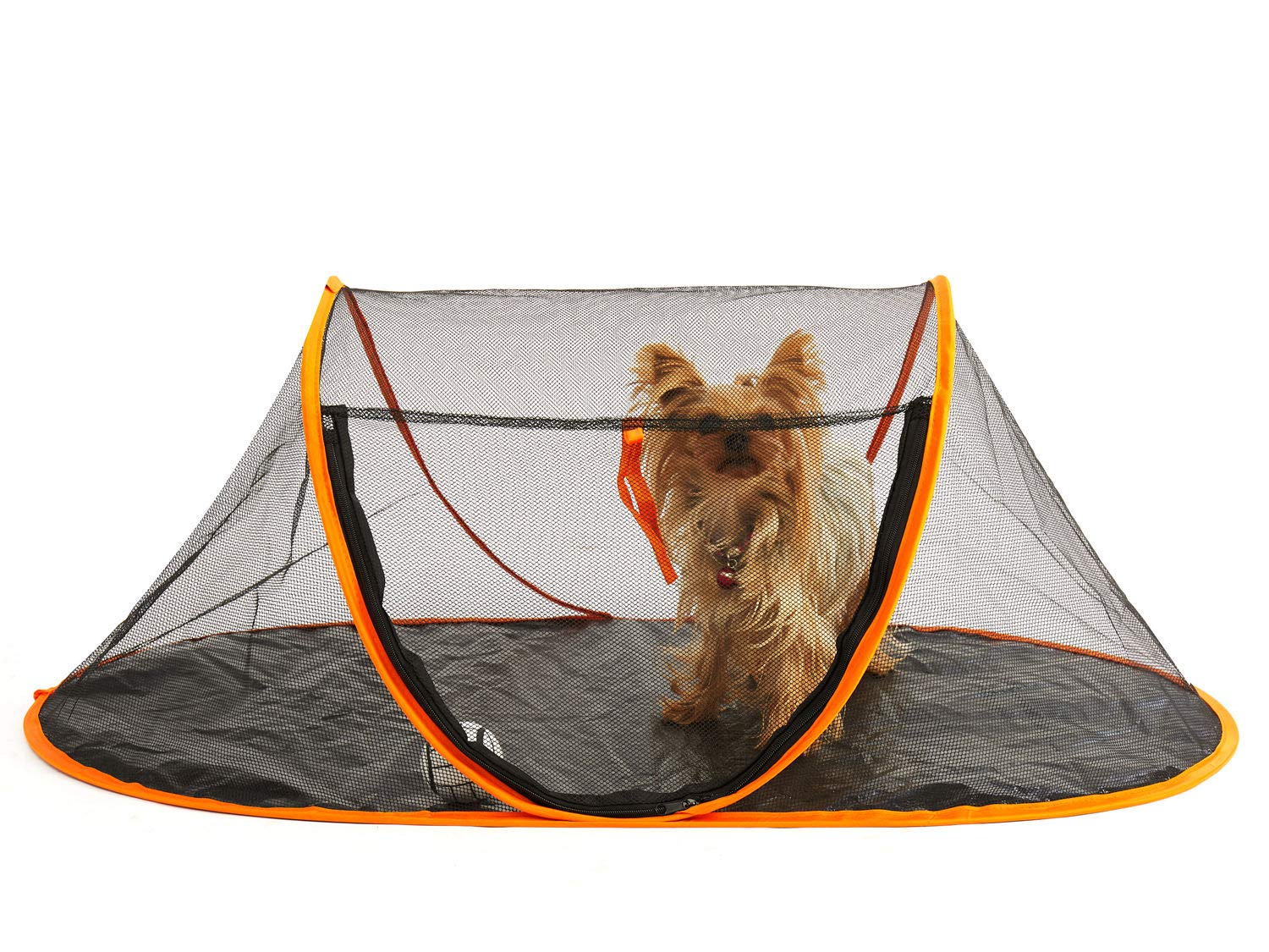 Buy Fooubaby Cat Tent Pop Up Cat House Outside Pet Enclosure Tent