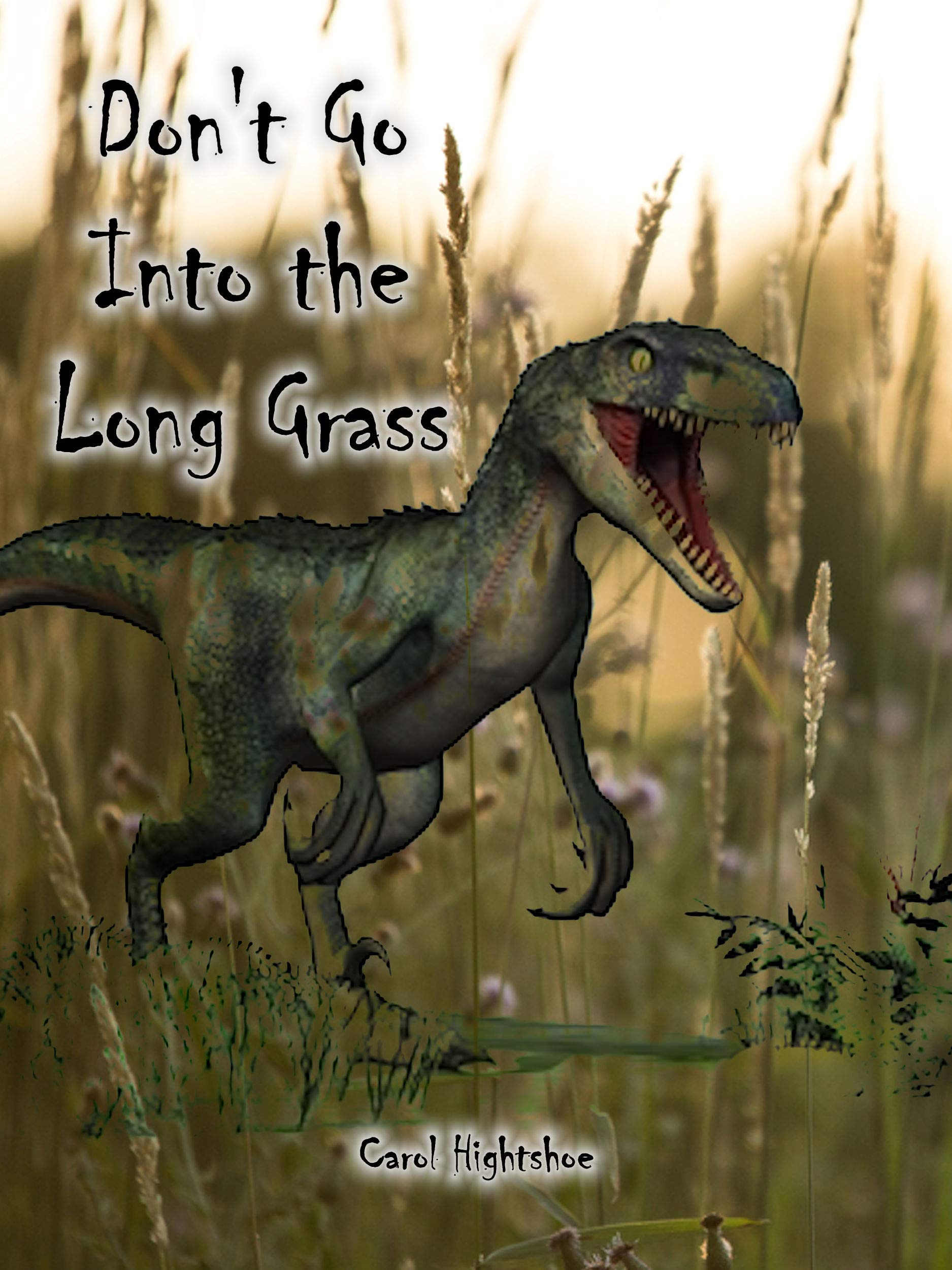 Cover of Don't Go Into the Long Grass