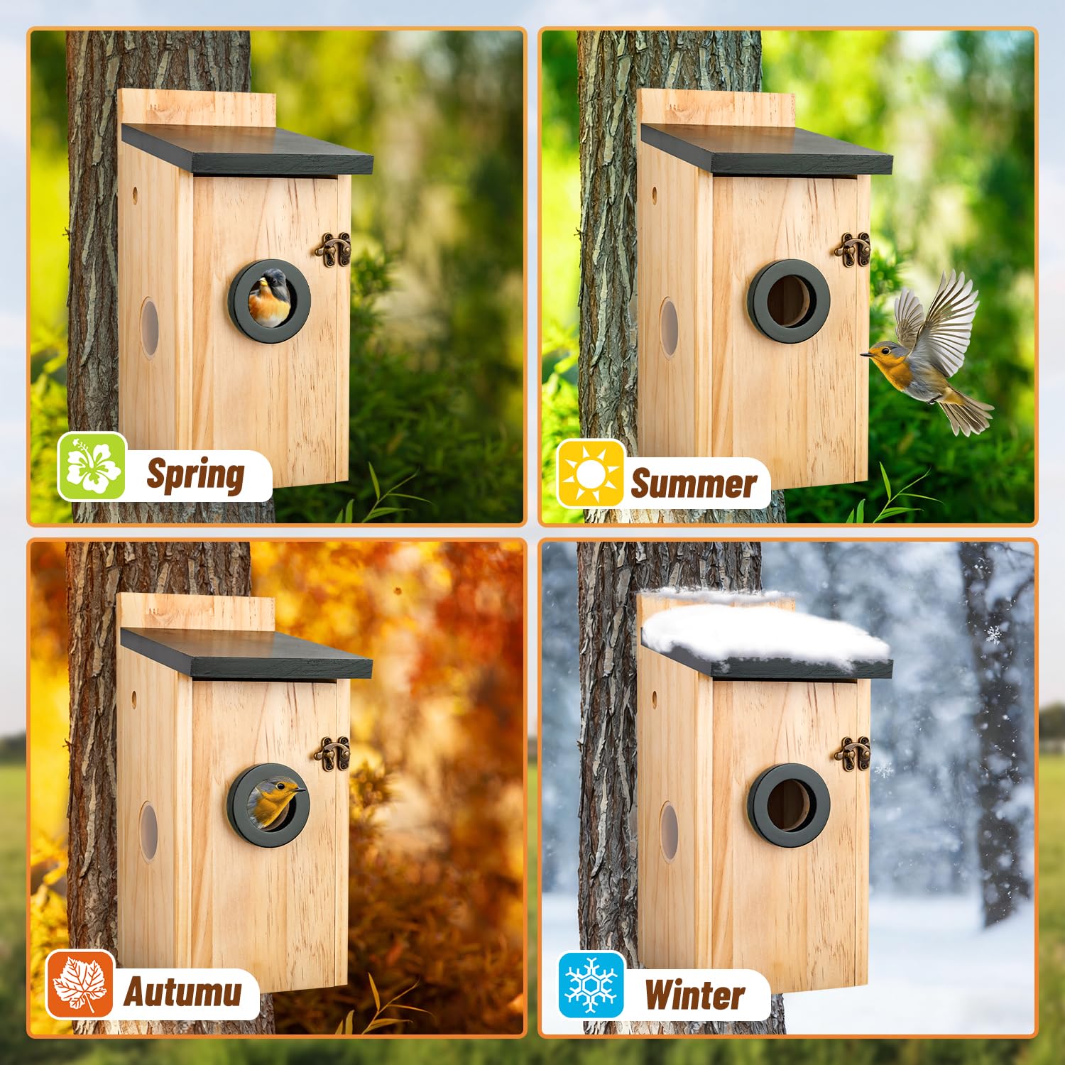 Casetta per uccelli intelligente con fotocamera, a energia solare, per esterni, con videocamera HD 2K, WiFi 2,4 G, visione notturna, rilevamento del movimento e SD da 16 GB, orologio per nidificare e