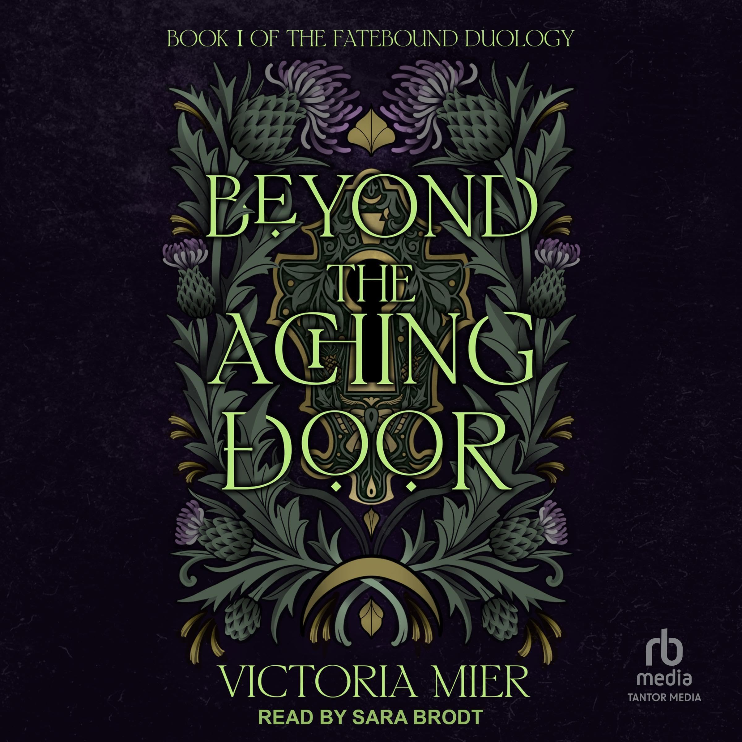 Cover art for Beyond the Aching Door