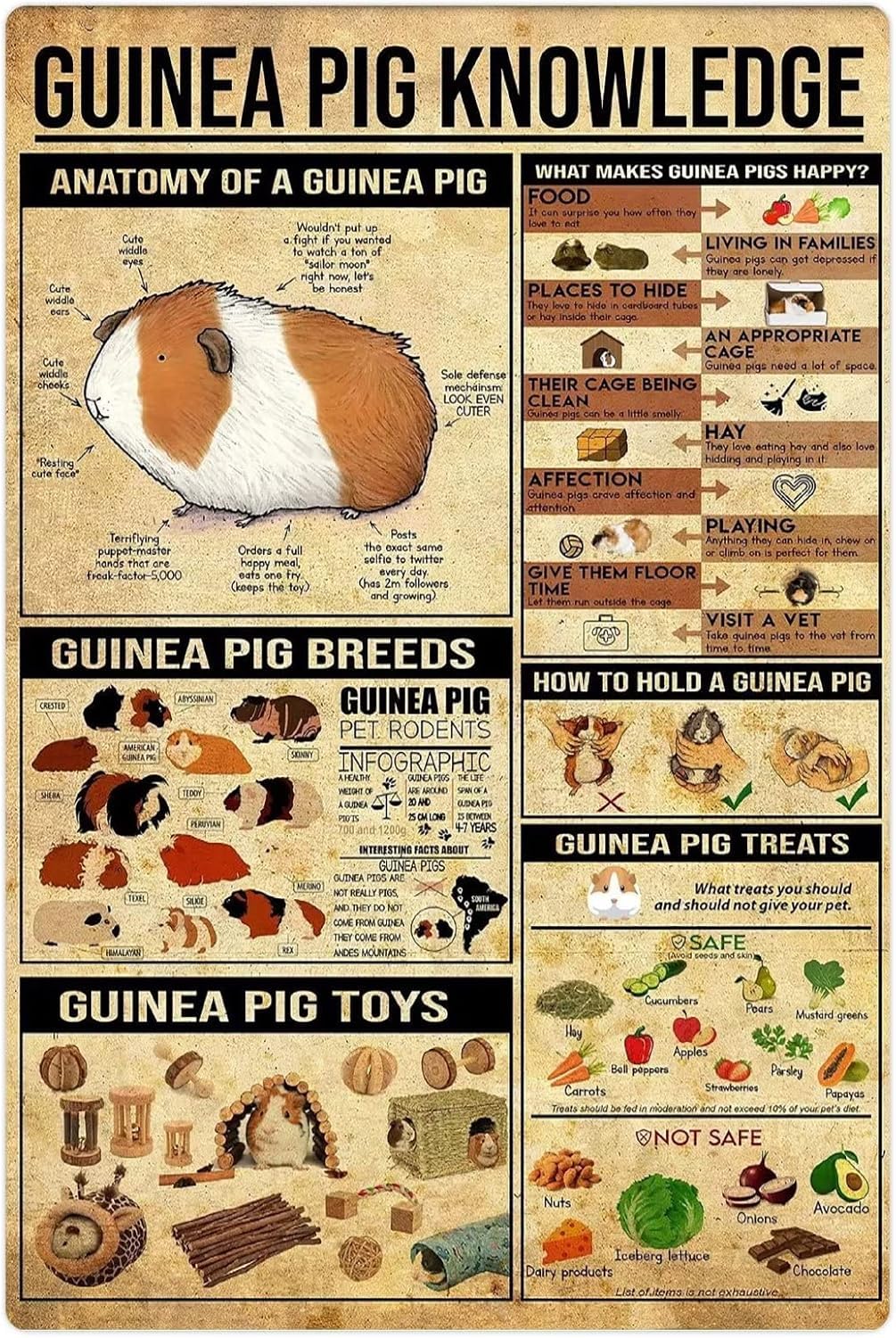 peiyeety Guinea Pig Knowledge Metal Tin Signs Guinea Pig Breeds Information Retro Poster Popular Science Educational Charts Wall Plaques Decor For Home Classroom Room Office 12x16 Inch