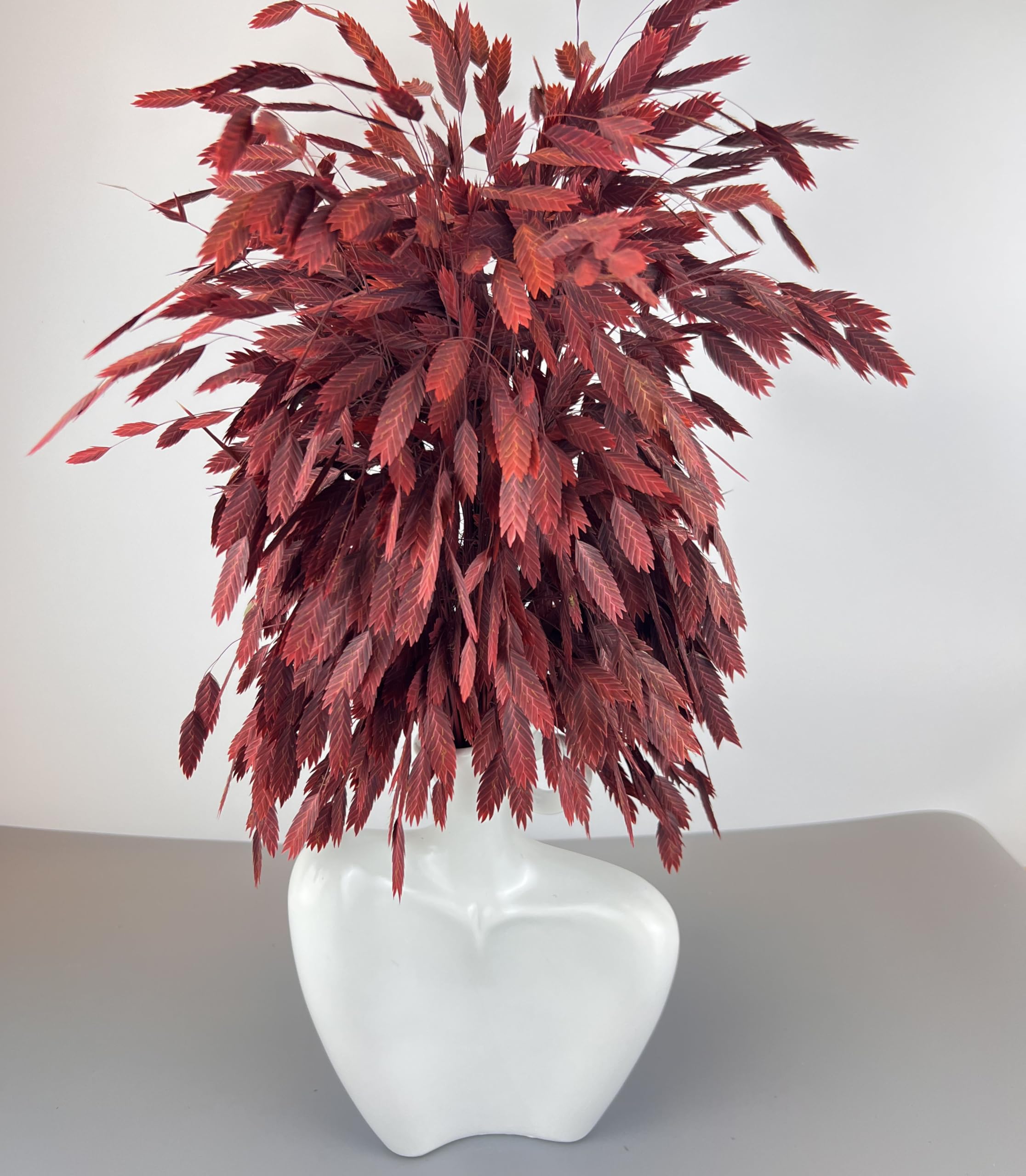 MOORCHOCO Dried Grass Bundle, 20 Stems 15-17 Inch Natural Chasmanthium Flower Bouquet for Vase, DIY Floral Arrangements, Weddings Party Home Baby Shower Elegant Decor (Rose red)