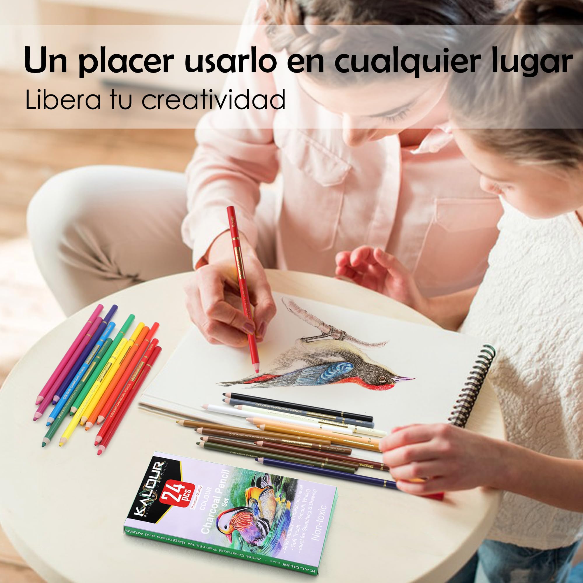 KALOUR PDAS Juego de 24 lápices de carbón de colores, lápices de tiza pastel, tono de piel, para dibujar, sombrear, colorear, capas y mezclar para principiantes y artistas