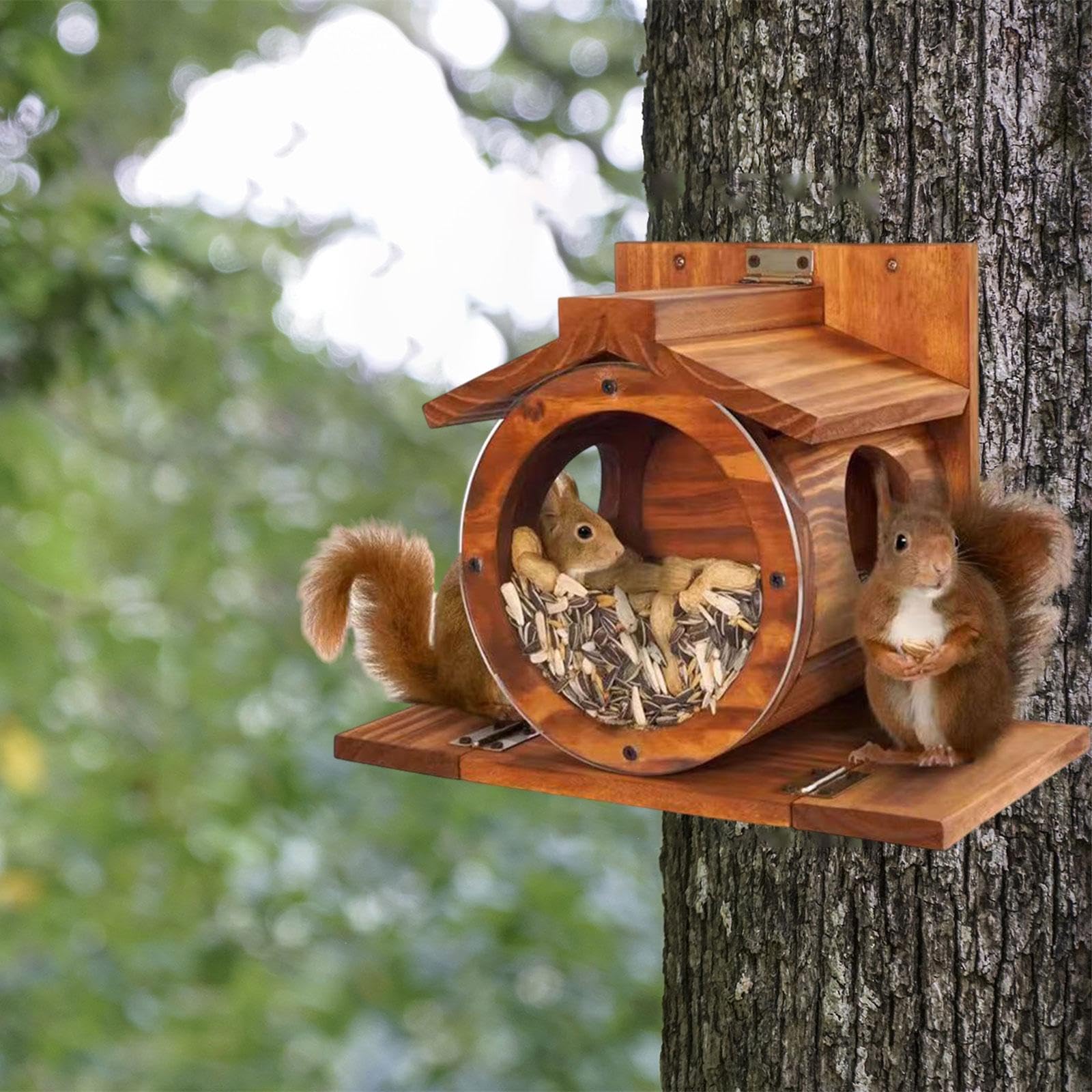 Mangiatoia per Scoiattoli in Legno da Esterno, Grande Casetta per Scoiattoli