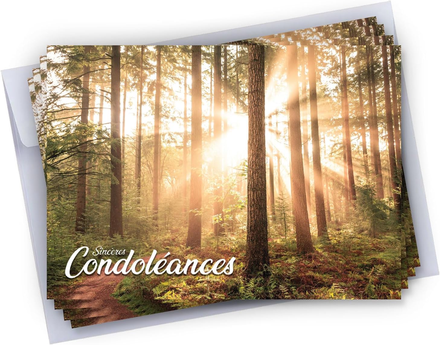 cadeau-parfait-6-cartes-condol-ances-6-enveloppes-autocollantes