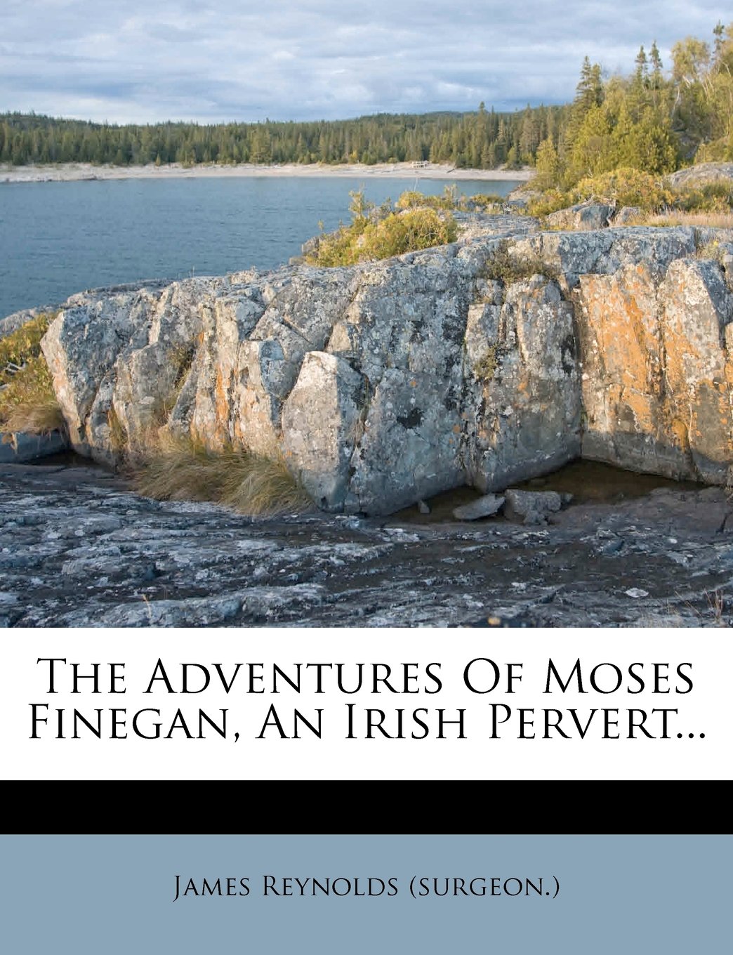 The Adventures of Moses Finegan, an Irish Pervert...