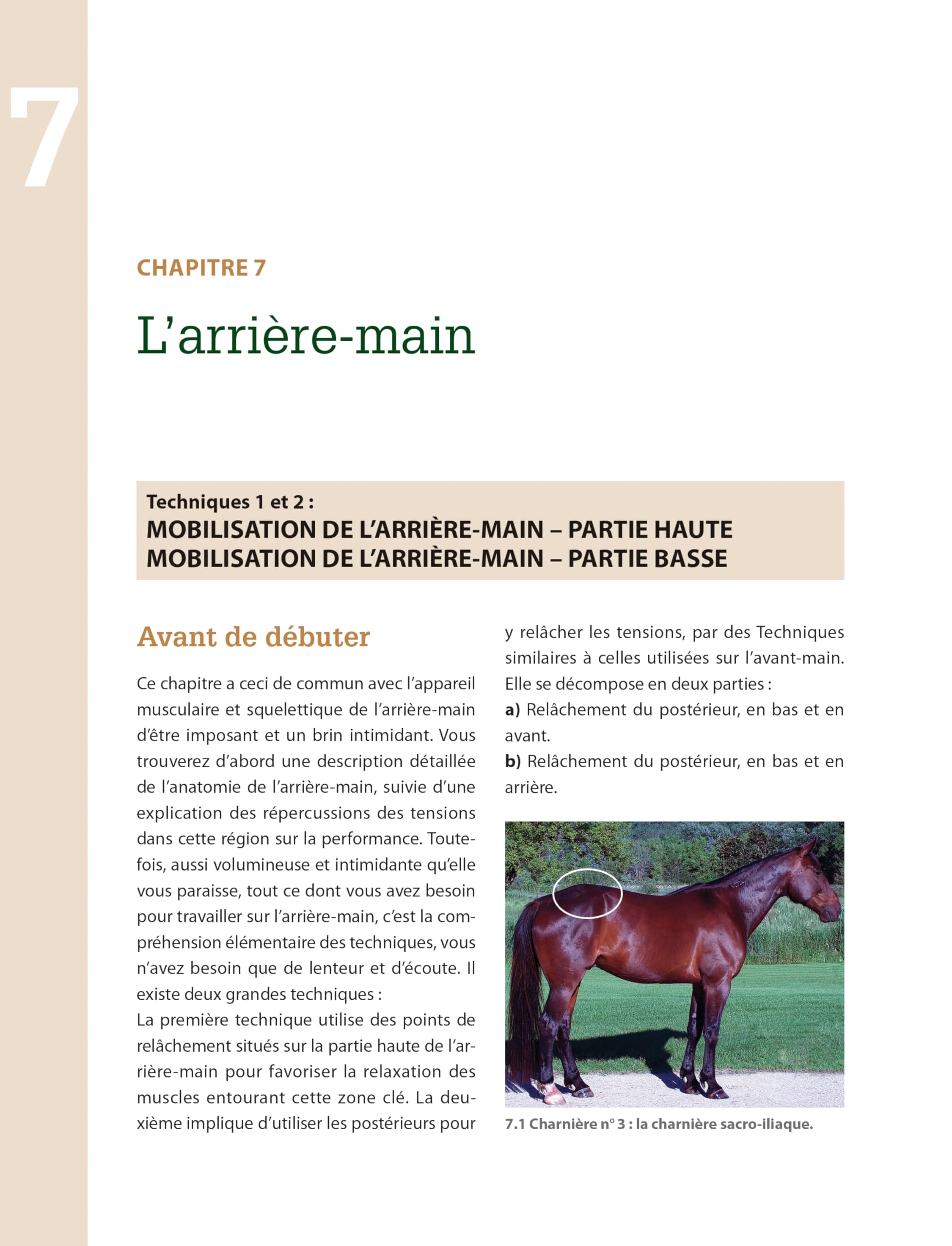 Masser son cheval : Soulager douleurs et tensions musculaires: 2e édition