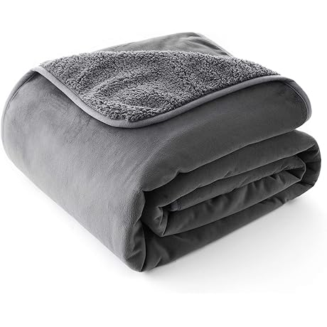 Allisandro Premium Waterproof Dog Blanket for Couch Sofa and Bed