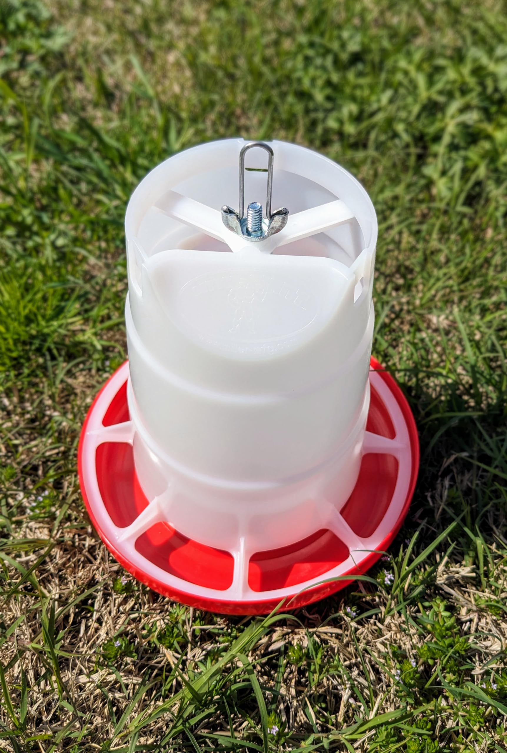 Hot Shot Feeder Hanging Poultry 3LBS DPHF3/PHF3