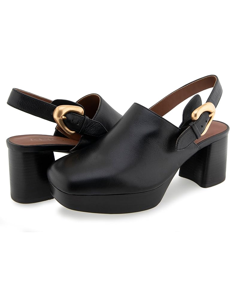 Black Aerosoles Sumari