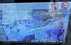 Review Image by T. Anderson T. Anderson