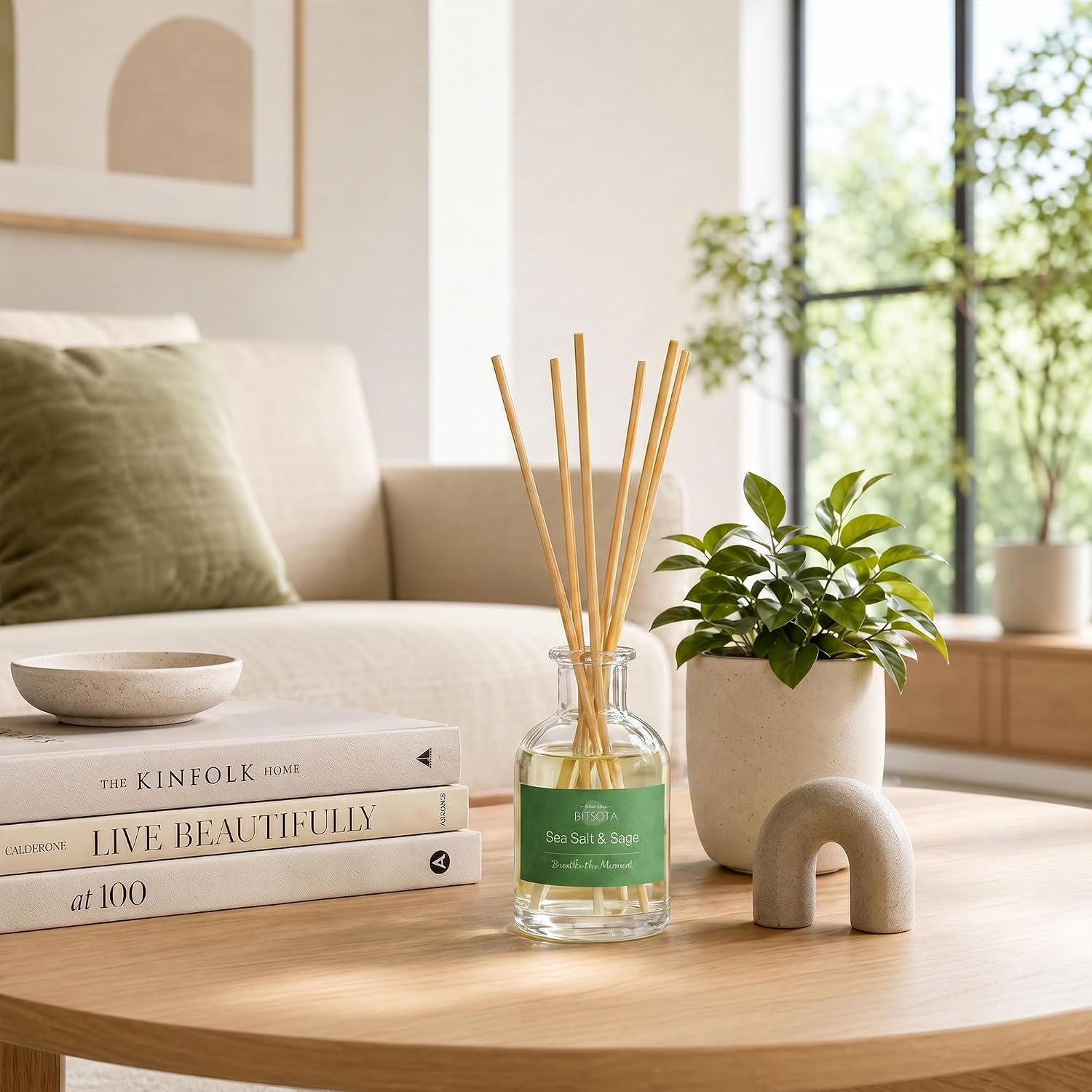 Natural Reed Diffuser Set, Sea Salt & Sage 3.52 oz (100ml) Scented Diffuser with Sticks Home Fragrance Reed Diffuser for Bathroom Shelf Decor, Ideal Gift for Woman image 4