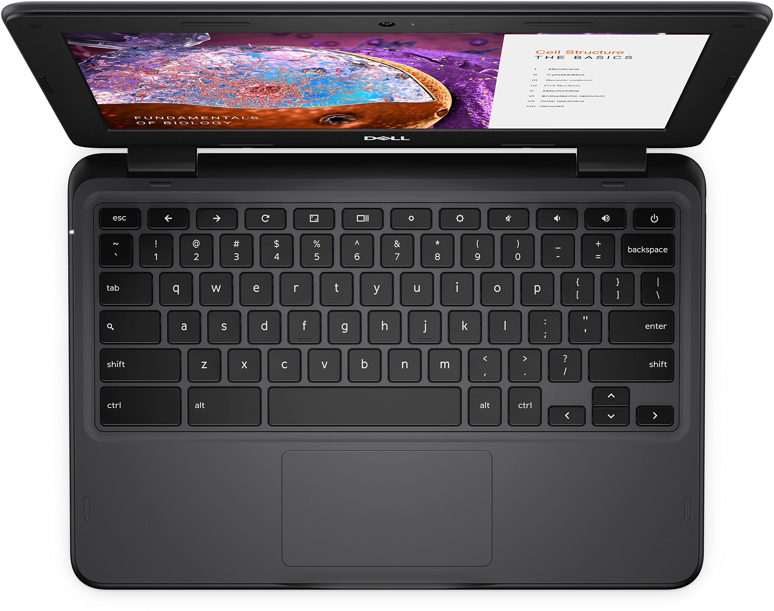 Dell Chromebook 3110 Laptop (2022) | 11.6" 1366x768 HD | Celeron - N4500-32GB SSD Hard Drive - 4GB RAM | 2 cores @ 2.8 GHz Chrome OS Black (Renewed)
