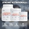 Creatina Micronizada en Polvo Rival Nutrition (sin sabor, 240 porciones) | 100% monohidrato de creatina, favorece el rendimiento deportivo y la masa muscular magra, sin sabores, edulcorantes, colores ni rellenos añadidos 5