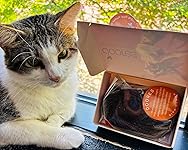 Review Image by HAVANNA CRUISE: Your Trusted Lighthouse in a Sea of Choices, Reviews, and Quality Recommendations 🗼 HAVANNA CRUISE: Your Trusted Lighthouse in a Sea of Choices, Reviews, and Quality Recommendations 🗼