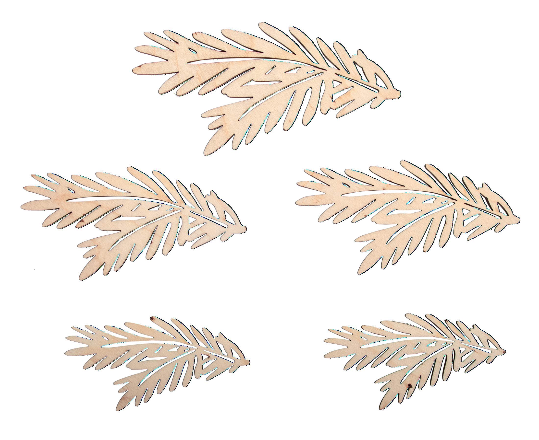 Rayher 62979505 Wooden Fir Branches FSCMixCred, Natural, Assorted 8.7-13 cm, self-Service Bag, Pack of 5, Normal