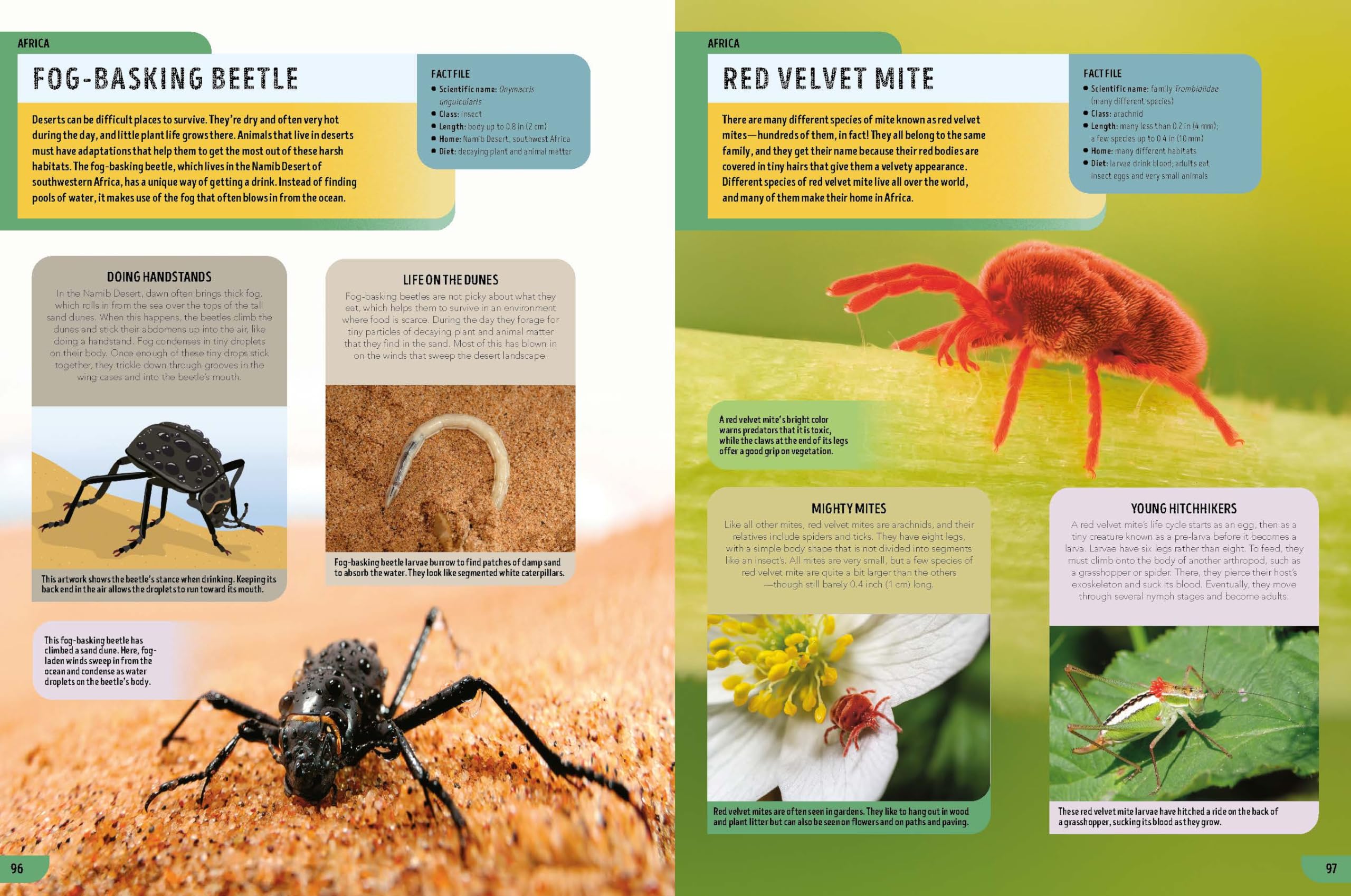 Lonely Planet Kids The Bugs Book: Meet Over 100 Incredible Creepy-Crawlies That Share Our Planet (The Fact Book)