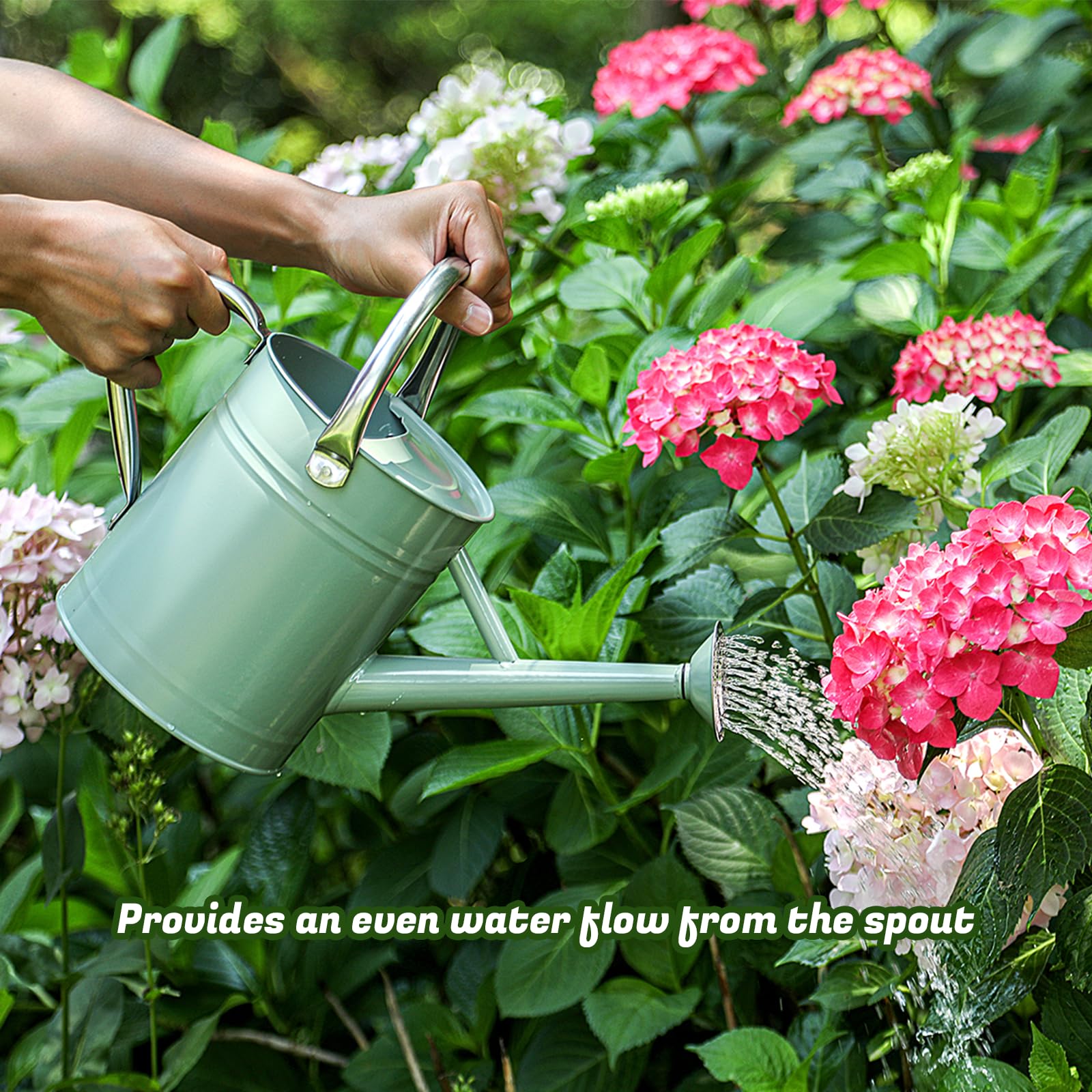 Annaffiatoio per piante da 1 gallone, annaffiatoio per giardinaggio interno ed esterno, vaso in acciaio zincato con beccuccio rimovibile, lattina in metallo con manico ergonomico mobile (verde crema)