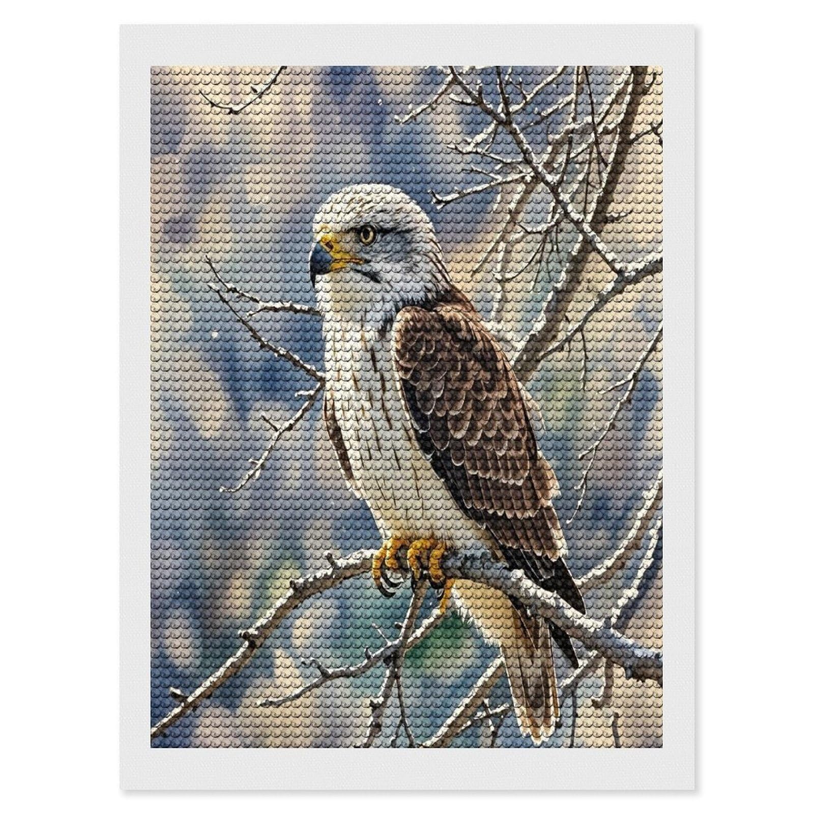 FekiLoot Hawk Diamond Painting Kits for Adults Full Round Drill Diamond Art Kits for Beginners 5D DIY Diamond Dots Paintings Diamonds Pictures Gem Art Home Wall Decor 12"x16"