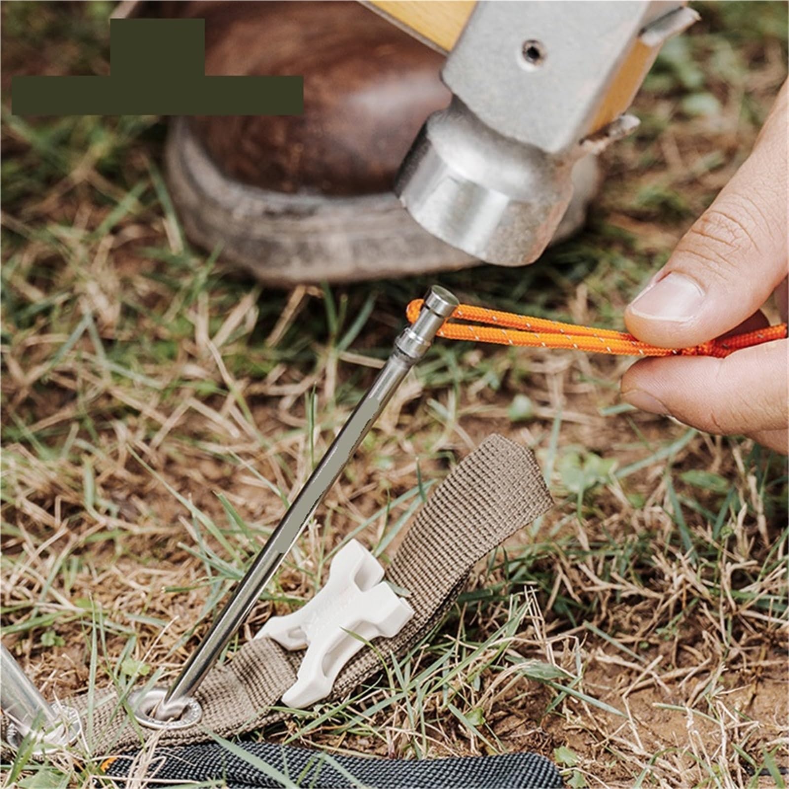 Piquets en Titane Robustes, 10 pièces, Accessoires de Tente Camping Plein air, piquets, Clous pour Le Camping, Les Voyages