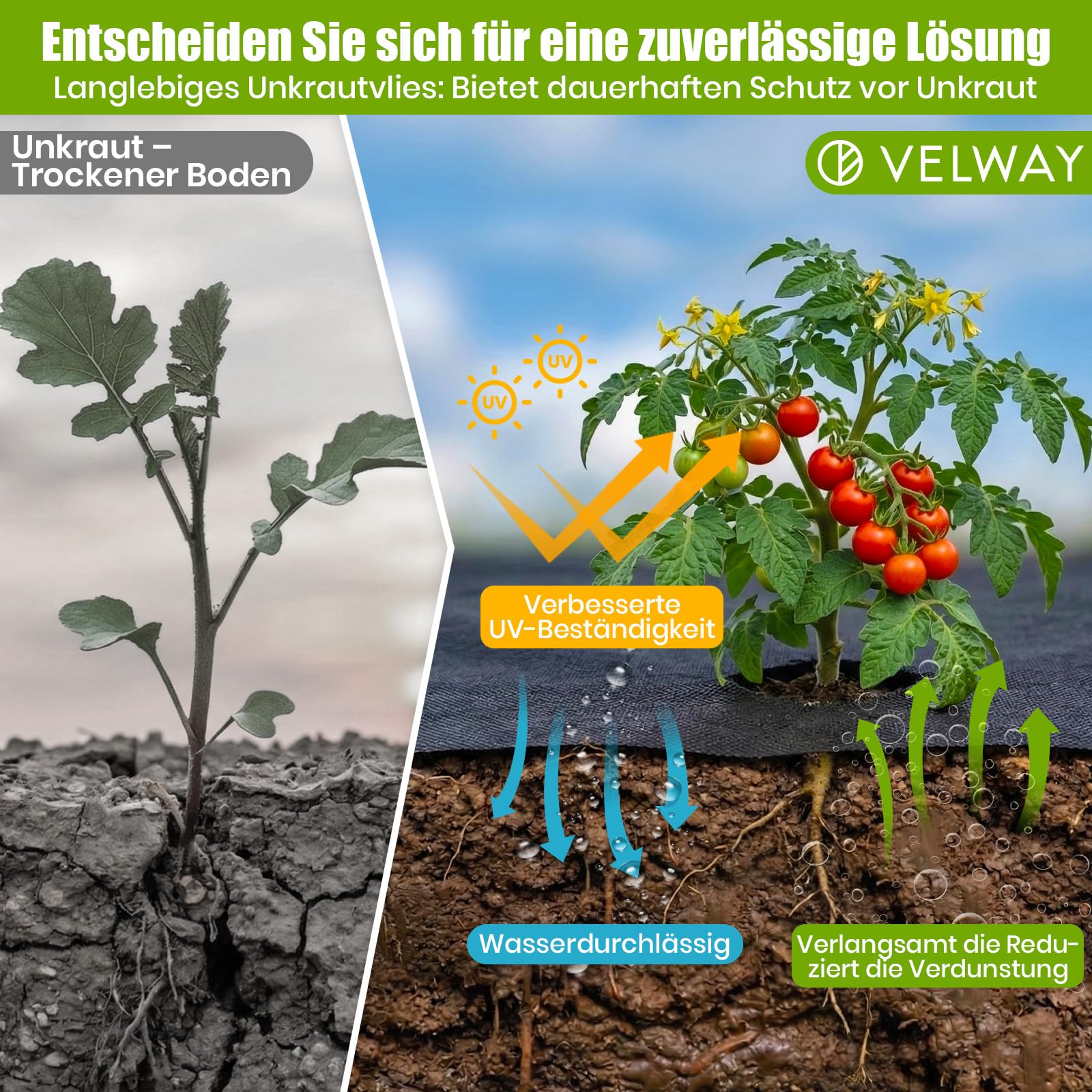 Velway Unkrautvlies 50g/m² 1x50m Rolle - Wasserdurchlässig & UV-Stabil Gartenvlies Reißfestes Unkrautfolie Gegen Unkraut Mulchvlies für Garten Hochbeet Gemüsegarten Landschaftsgestaltung