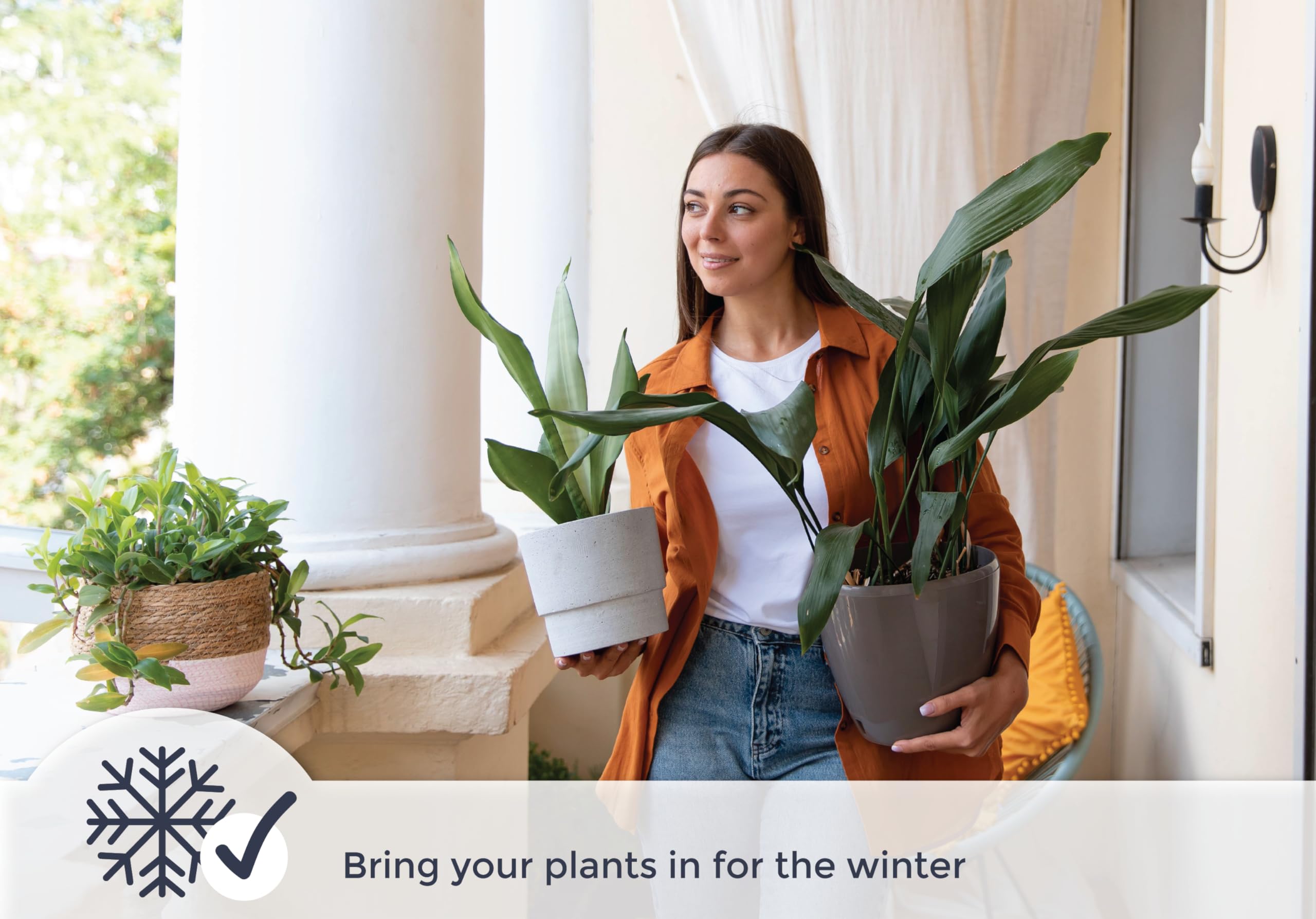 Amazon.com : Miracle LED 6.5KK Professional Indoor Grow