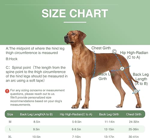 Miniatura 6 de LISPOO - Rodillera para perro para pierna trasera desgarrada, rótula luxante, ligamento cruzado, rodillera para perro Acl soporte de pierna trasera