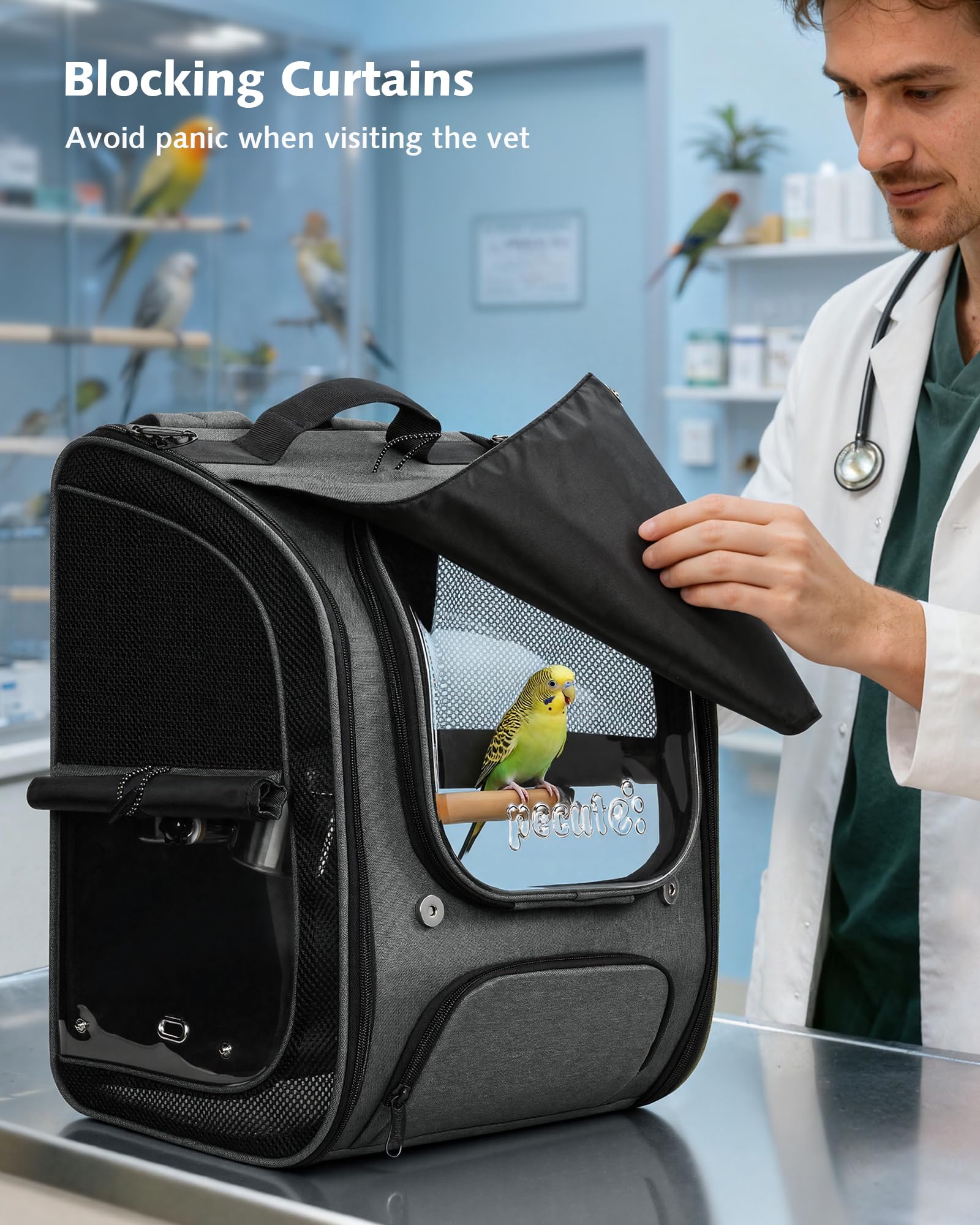 https://m.media-amazon.com/images/I/81C-LEp6ogL.jpg