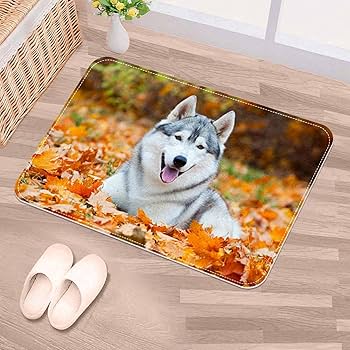 超大判　犬柄　USA製　ラグ　マット　フリンジ付き　170×130 キャバリア 超大判 犬柄 USA製 ラグ マット フリンジ付き 170×130 キャバリア 楽天