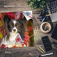 Vista 1047 de Razas de Perros 2017