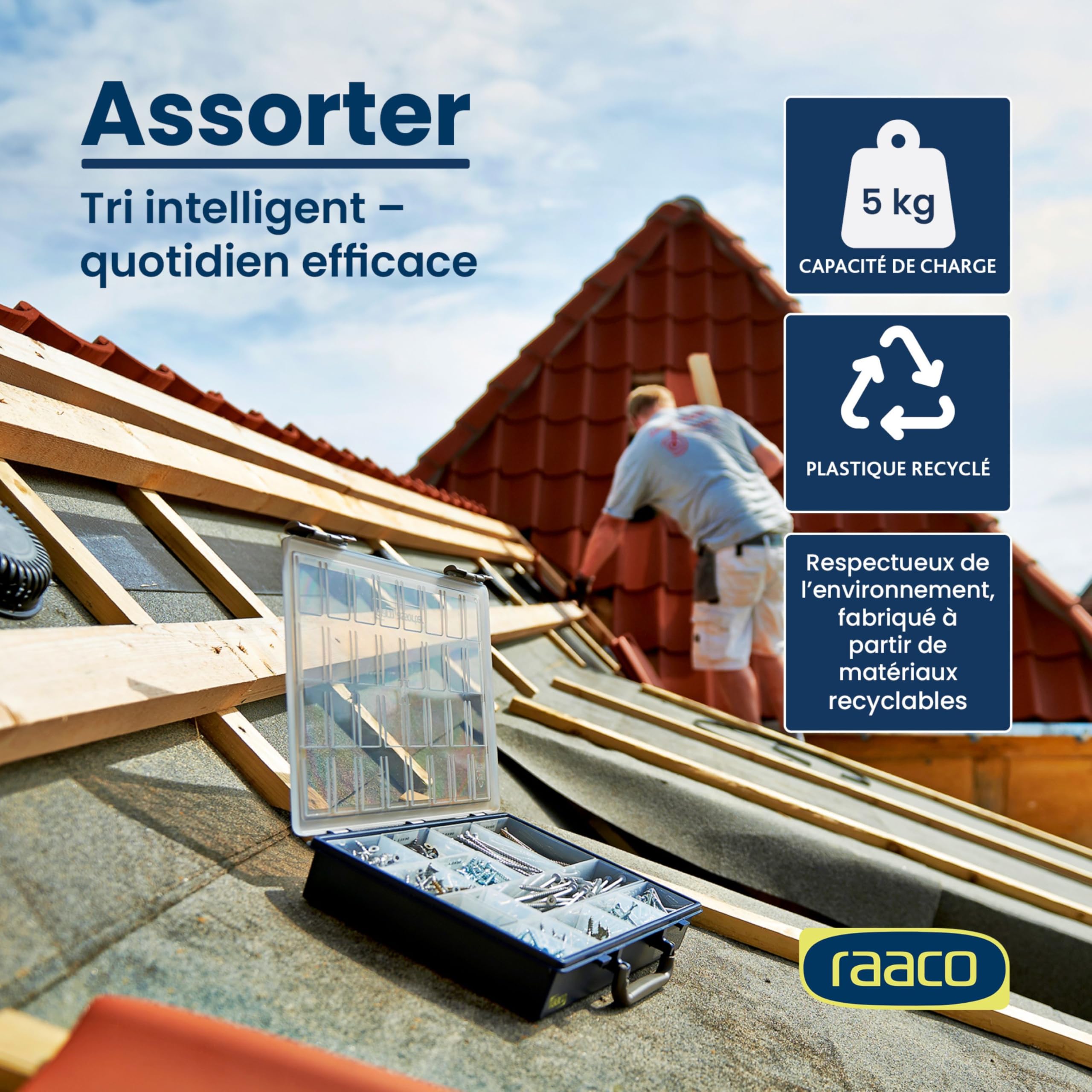 Raaco Assorter 55 4x8-17 boîte de rangement, lot, 26.1 x 33.8 x 5.7 cm | Boîte de Rangement pour Atelier avec 17 Godets, Stockage Sécurisé, Portable, 26.1 x 33.8 x 5.7 cm, Boîte à Outils, accessoire