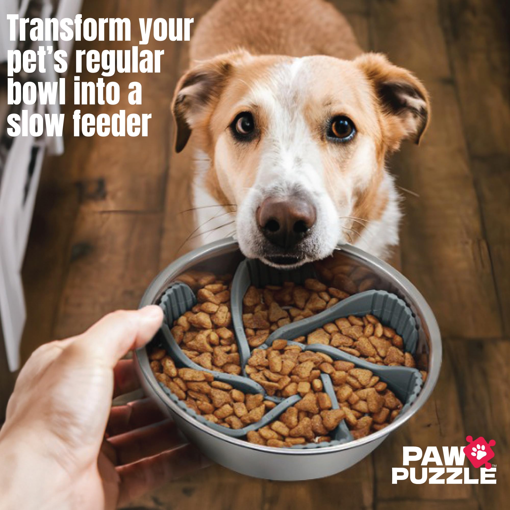 Palz&Co Paw Puzzles - Cuenco de alimentación lenta para cuencos medianos para mascotas, redondo de 5 pulgadas, color morado