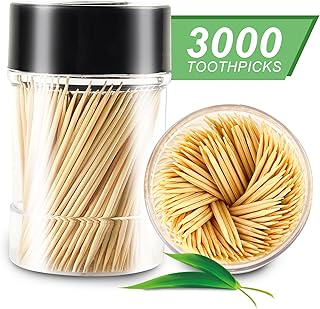 [3000 Count 100% Natural Bamboo Toothpicks - With 1 Piece Reusable Toothpick Holder, Sturdy and Smooth Toothpicks for Parties, Appetizers, Olives, BBQ, Fruit and Teeth Cleaning, Black.