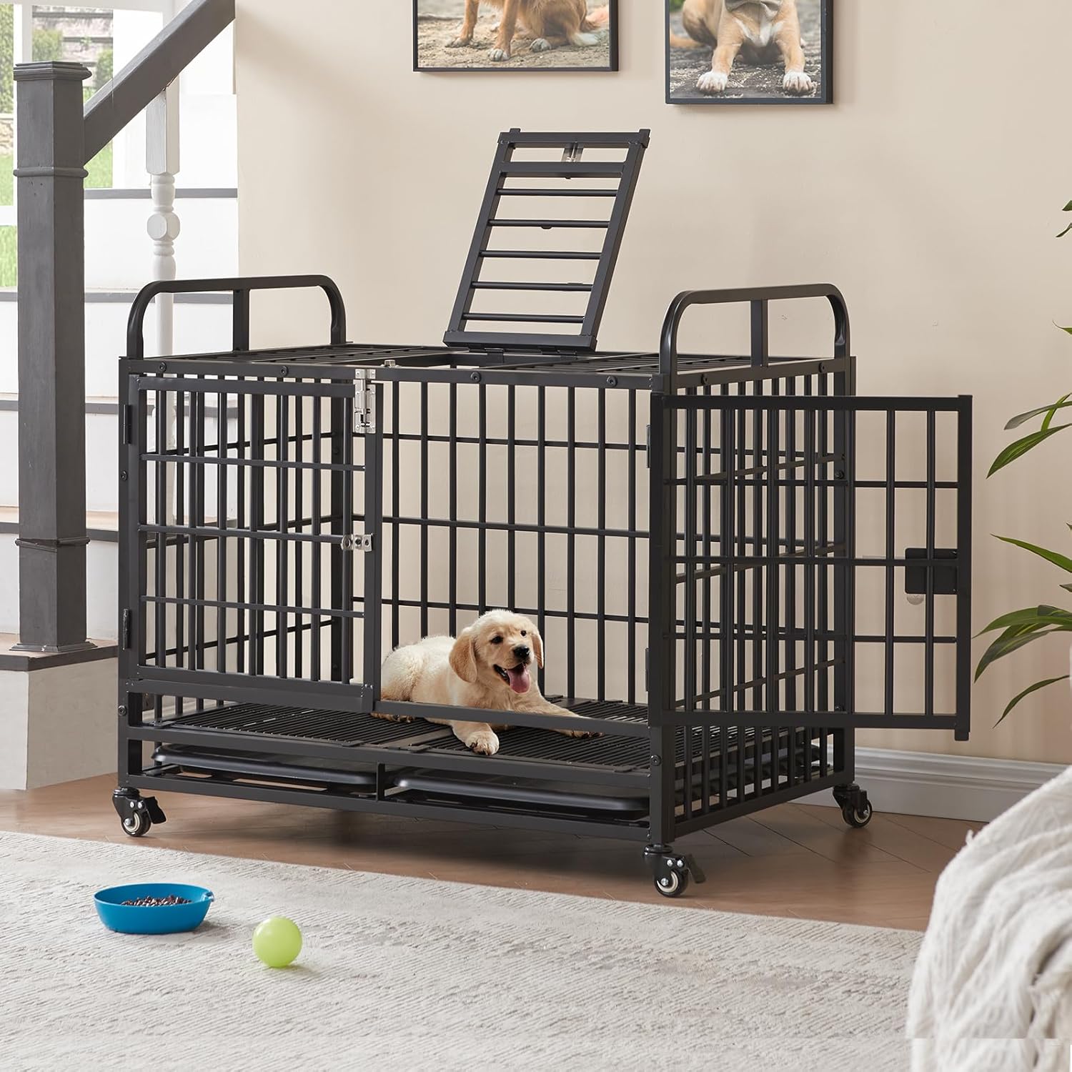 The Perfect Haven: Lauren&Harold 38" Heavy Duty Dog Crate Review