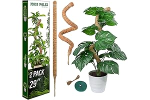 2-Pack 29-Inch Moss Pole for Climbing Plants, Monstera, Potted Plants, Indoor Growth