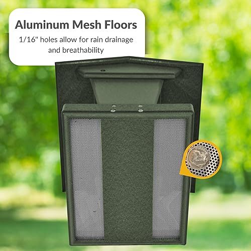 Miniatura 4 de DutchCrafters Comedero grande de plástico colgante para pájaros  Comedero para pájaros con tolva cubierta de polietileno para aves silvestres al